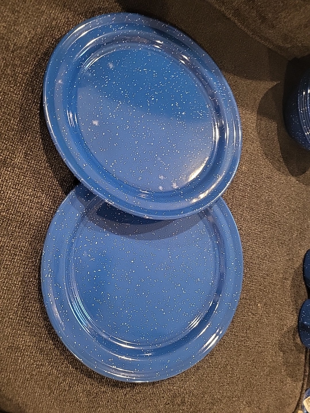 Set Of 2 Blue Speckled Enamelware 10" Camp Plates Picnic