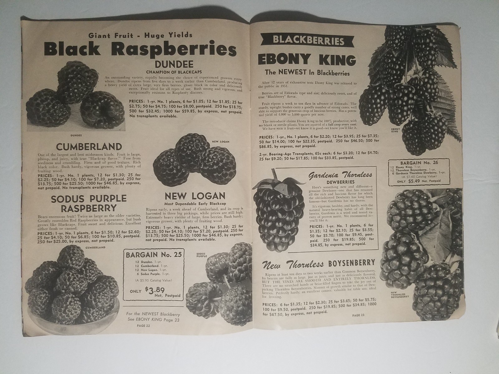 1955 Whitten Nurseries Catalog