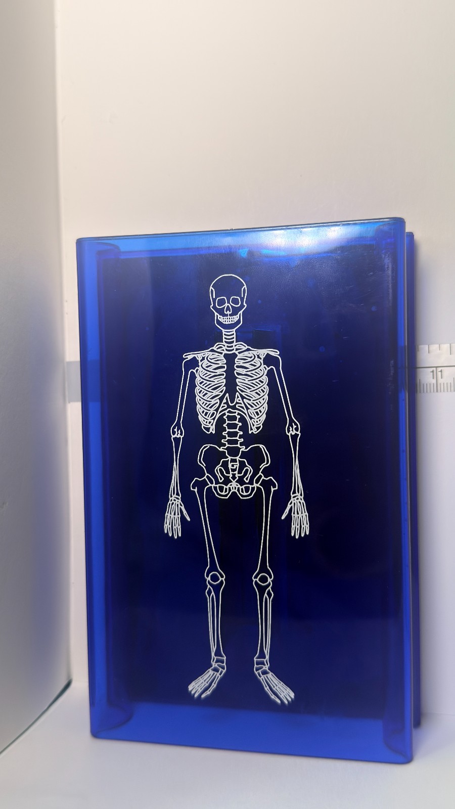 Learning Resources Skeleton Stamp Science Anatomy Classroom Homeschool