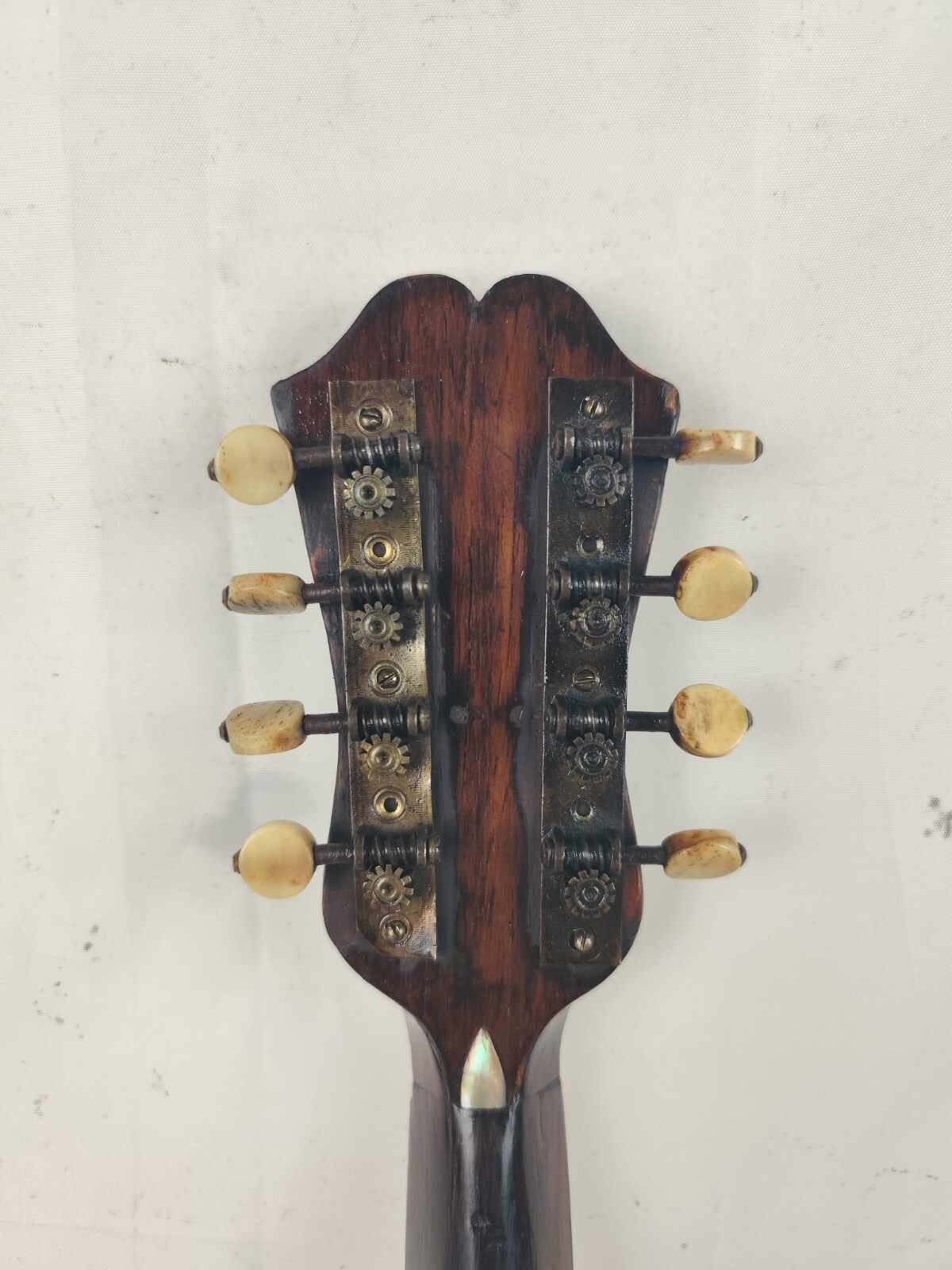 Mandolin 4/4 Querin Giuseppe 1900 Naples 曼陀林 만돌린マンドリン