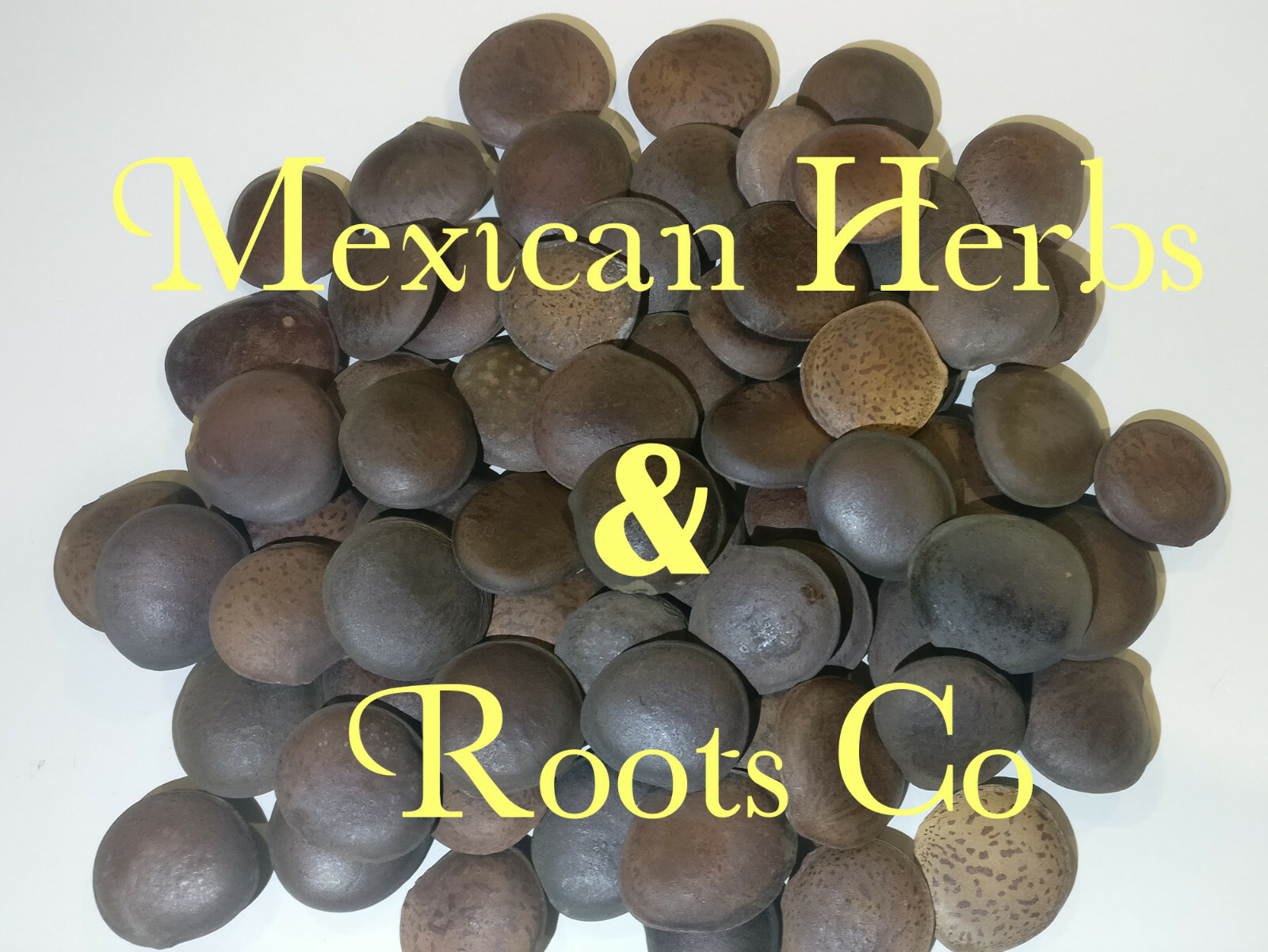 Habas de san ignacio 8,16,24, 50,100,200 (semillas enteras) Free Shipping !!!
