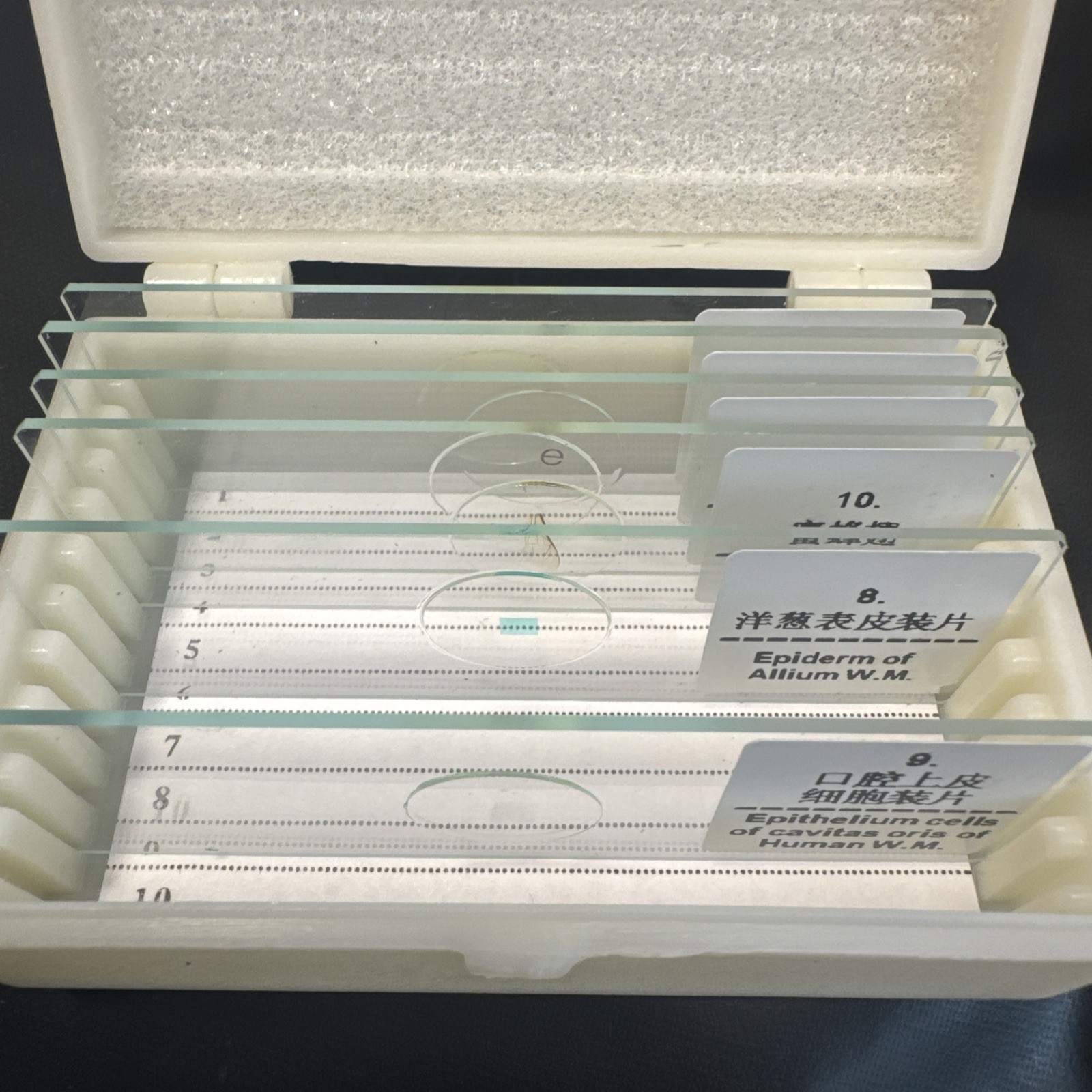 Biological Student Microscope Kit XSP01 XSP02 Case Home School STEM Science