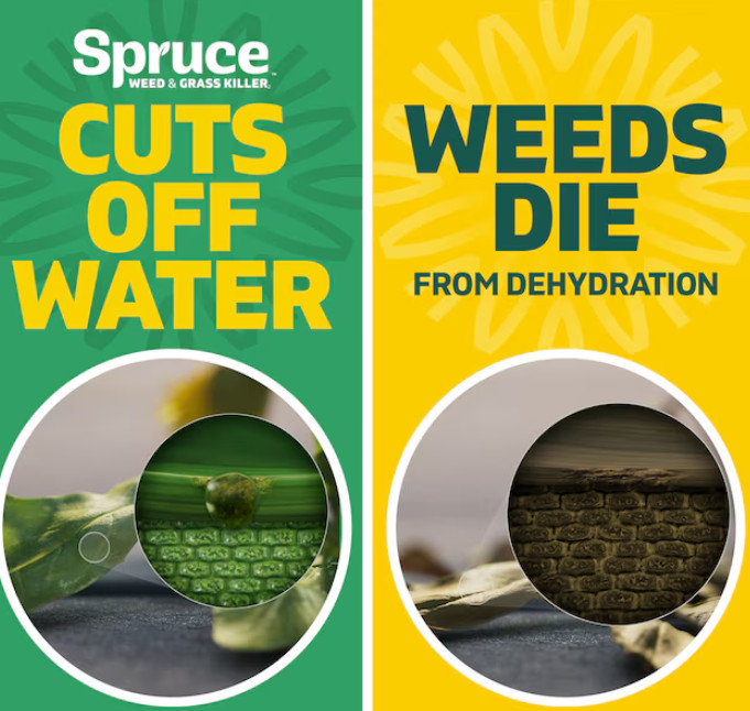 Spruce Snap and Spray Powered Starter Kit 64 -fl oz Trigger spray Weed and Grass