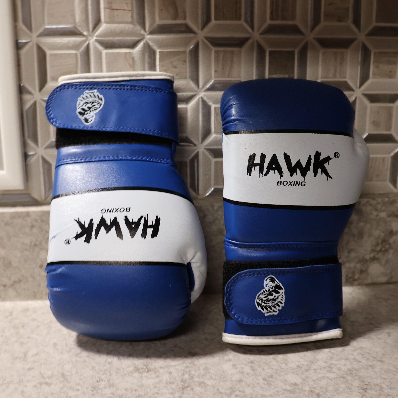 Hawk 6oz boxing gloves