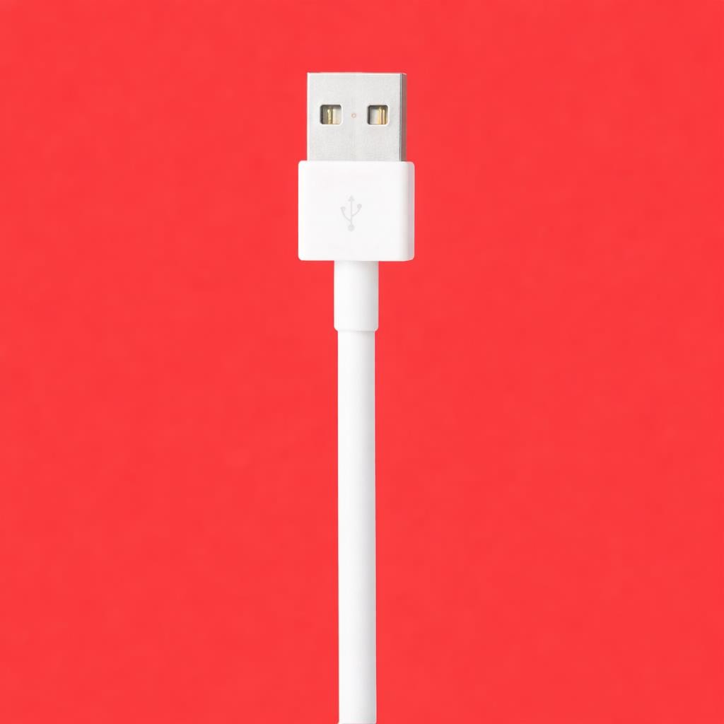Apple iPhone compatible USB-A ORIGINAL White Charging Cable (10ft) w/TRACKING 4z