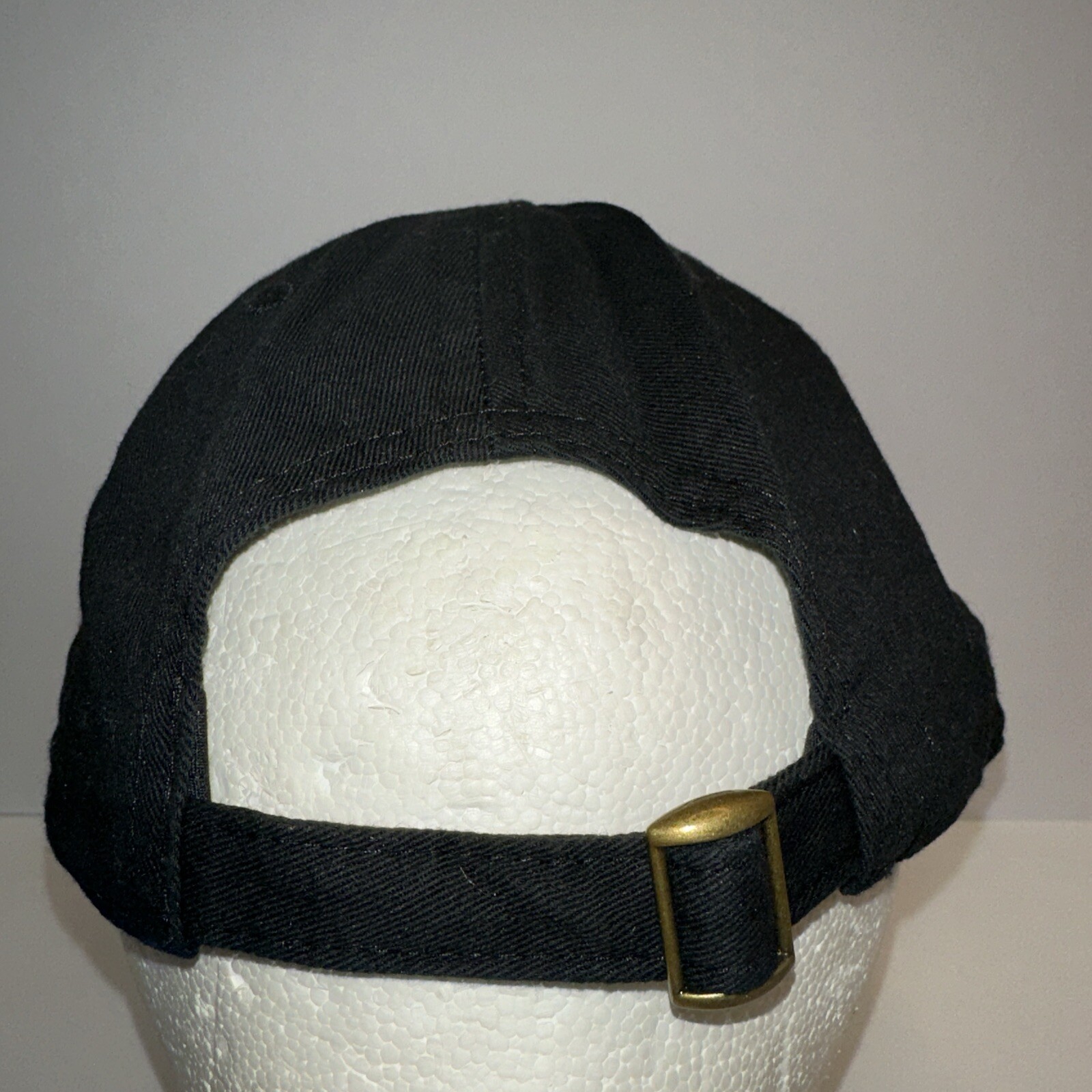 Rick & Morty Adult Swim Cartoon Black Hat Cap Bio-World Strap Buckle