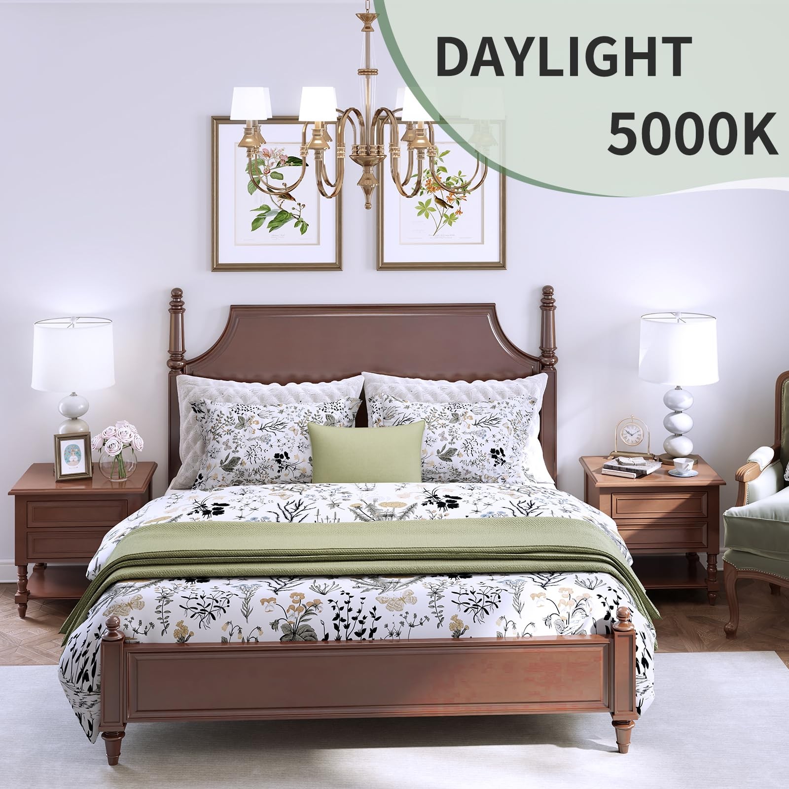 A19 LED Light Bulbs,60 Watt Equivalent Daylight 5000K with E26 Base,Efficient...