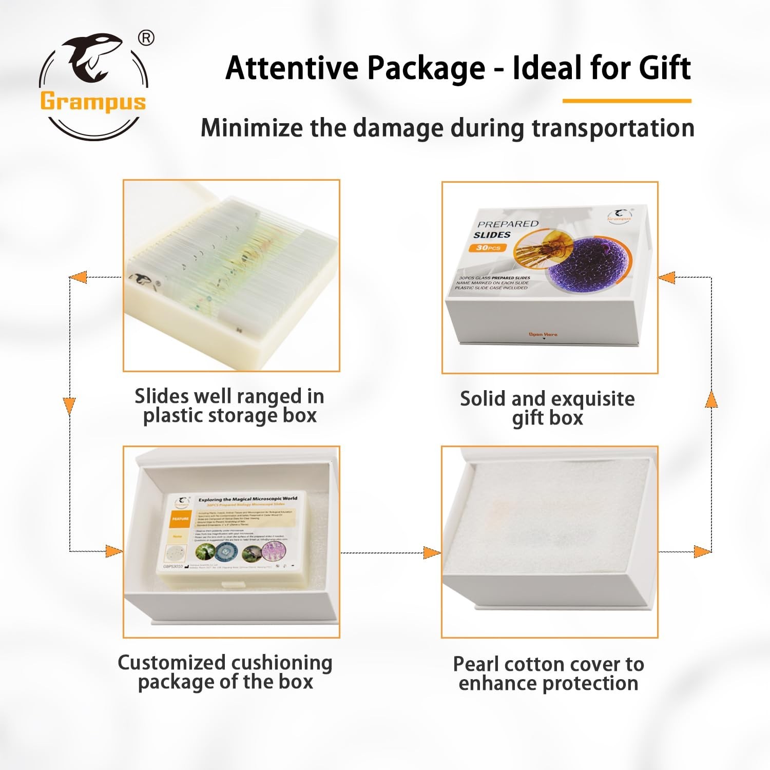 30 Prepared Microscope Slides Set - Specimens for Kids, Students, Science Lab, B