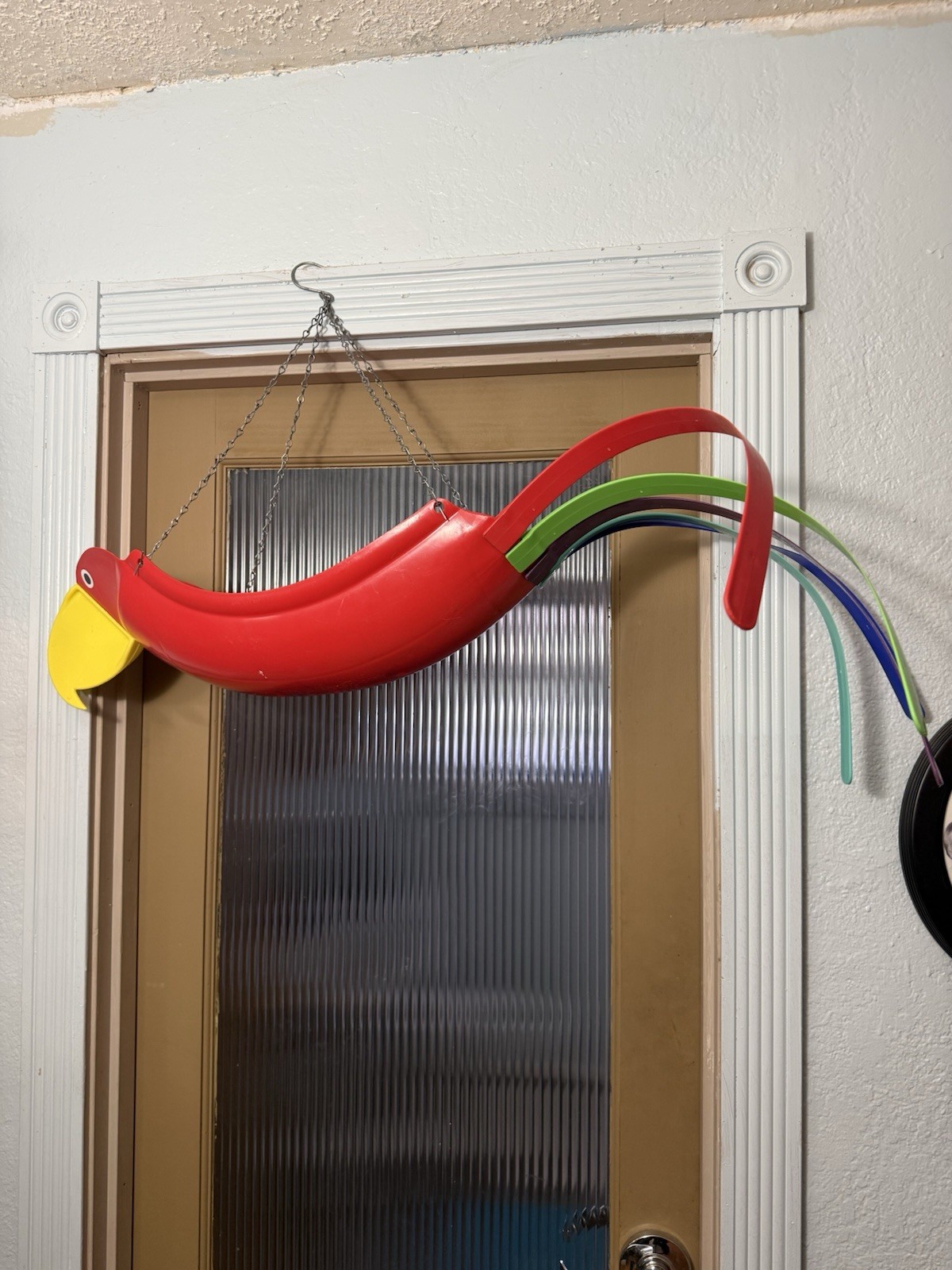 Rosie The Red Parrot Hanging Planter