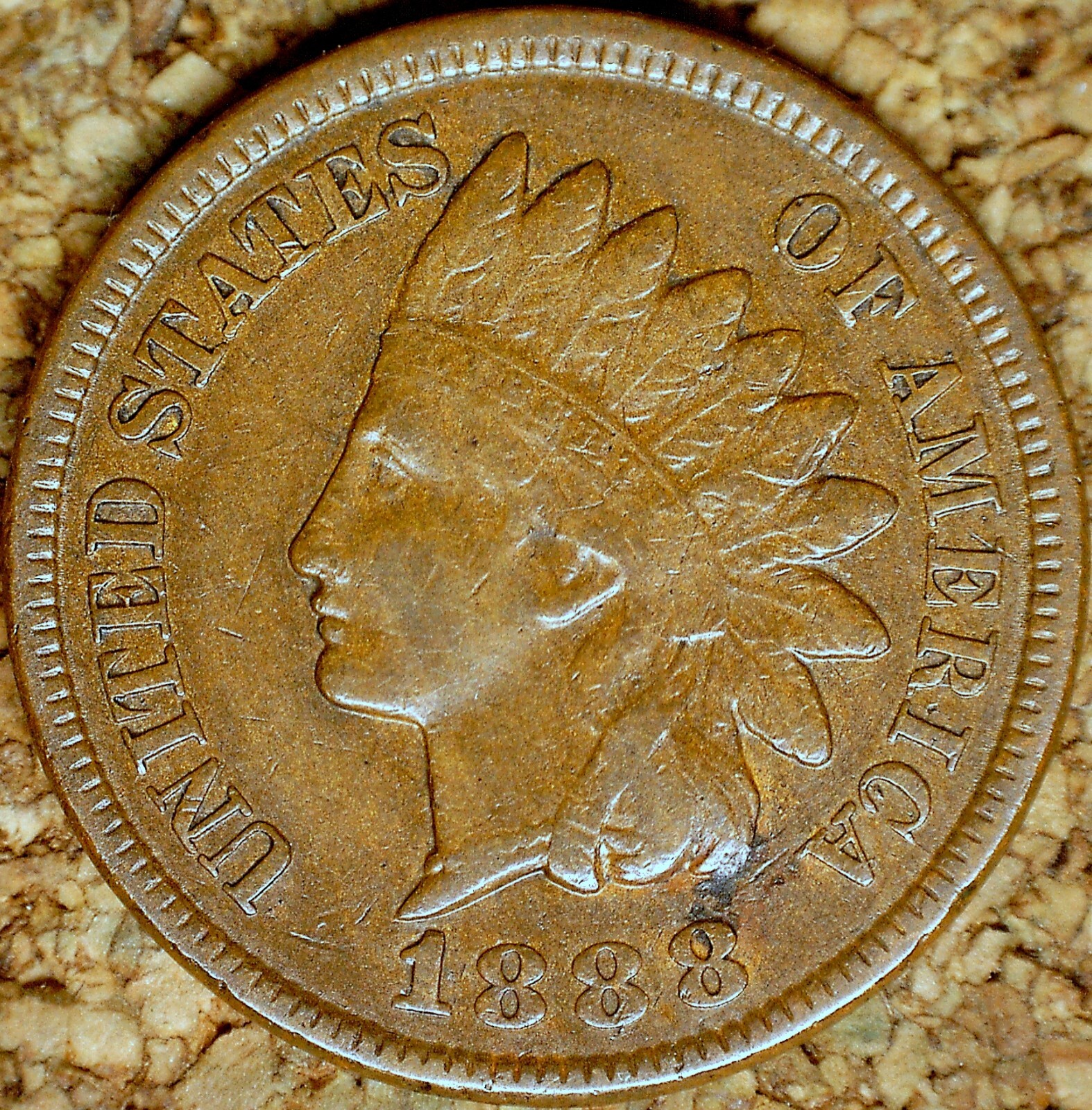 1888 Indian Head Cent - HIGH GRADE VF+++, REVERSE CRACKS, POLIQUIN PLATE (M252)