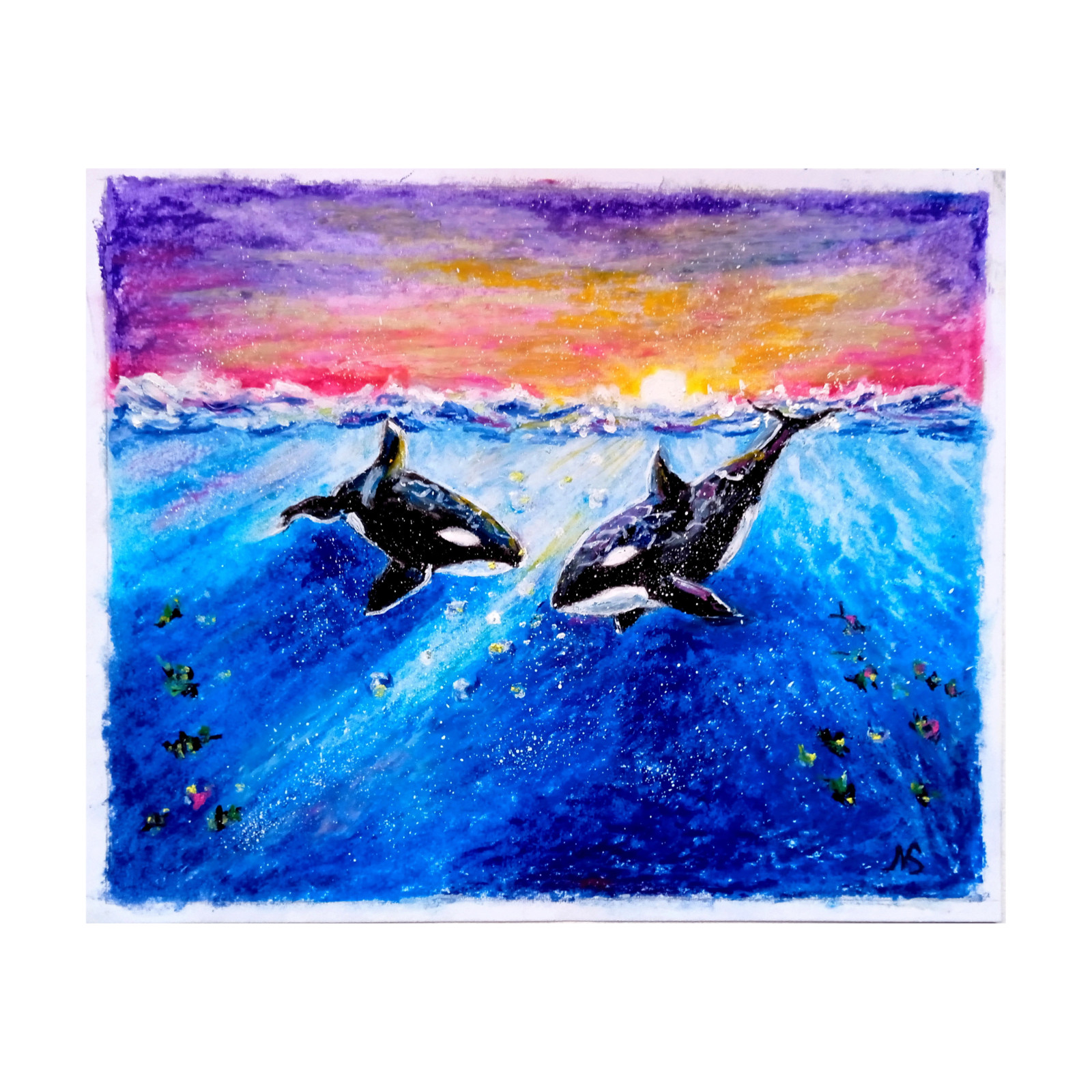 Orca Painting Couple Animal Ocean Originall Art Oil Pastel 10x8 inches