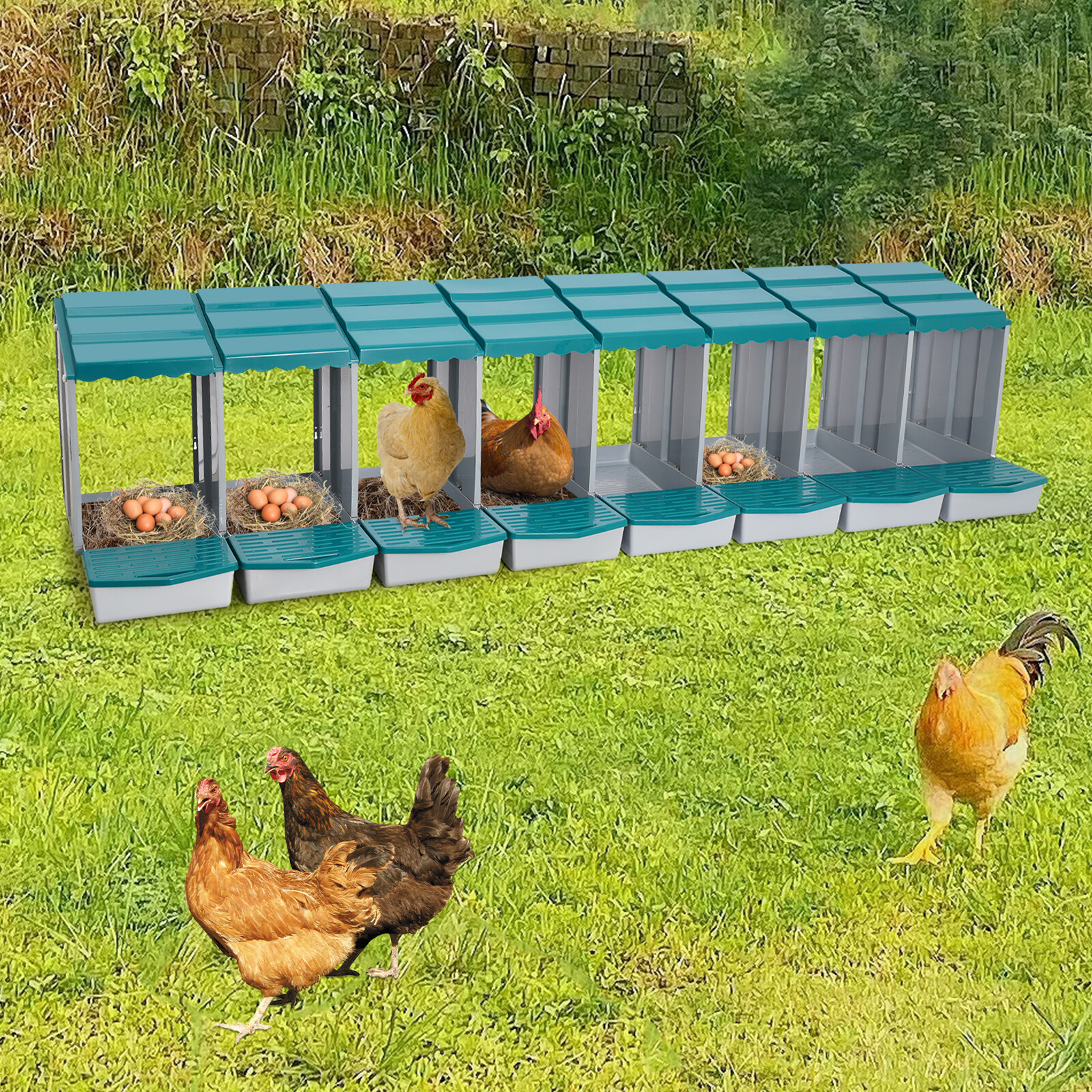 8-grid Green Chicken Nesting Box Chicken Eggs Laying Box with Egg Storage PP