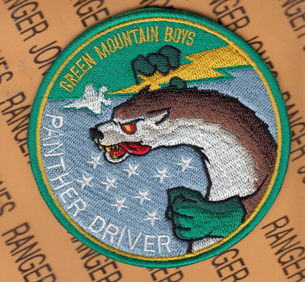 USAF Air Force 134th Fighter Sq FS Panther Driver Green Mountain ~3.75" patch