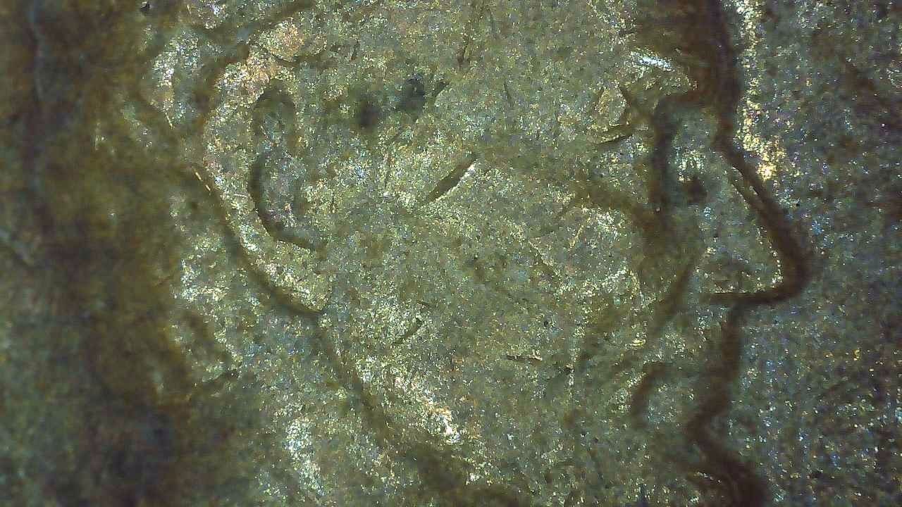 1969 D Lincoln Penny error floating roof, missing FG