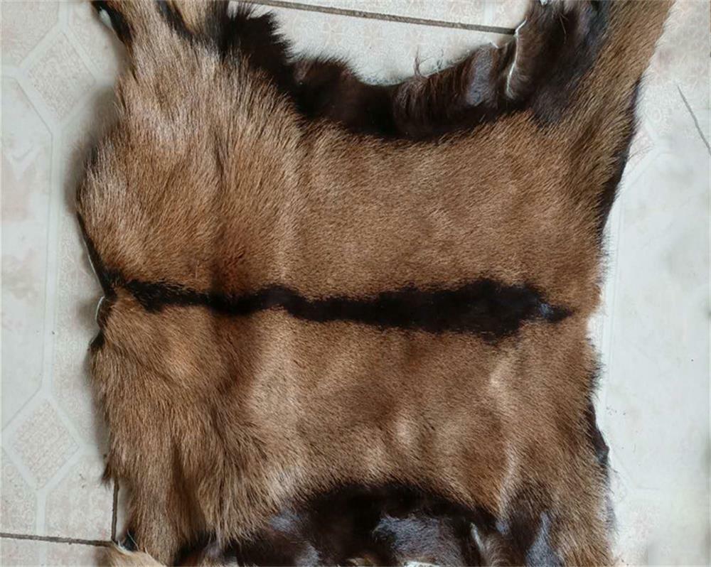 3 Pieces Real Goat Hide Skin Fur Pelt Rug Tanned Leather Clothing Accessories