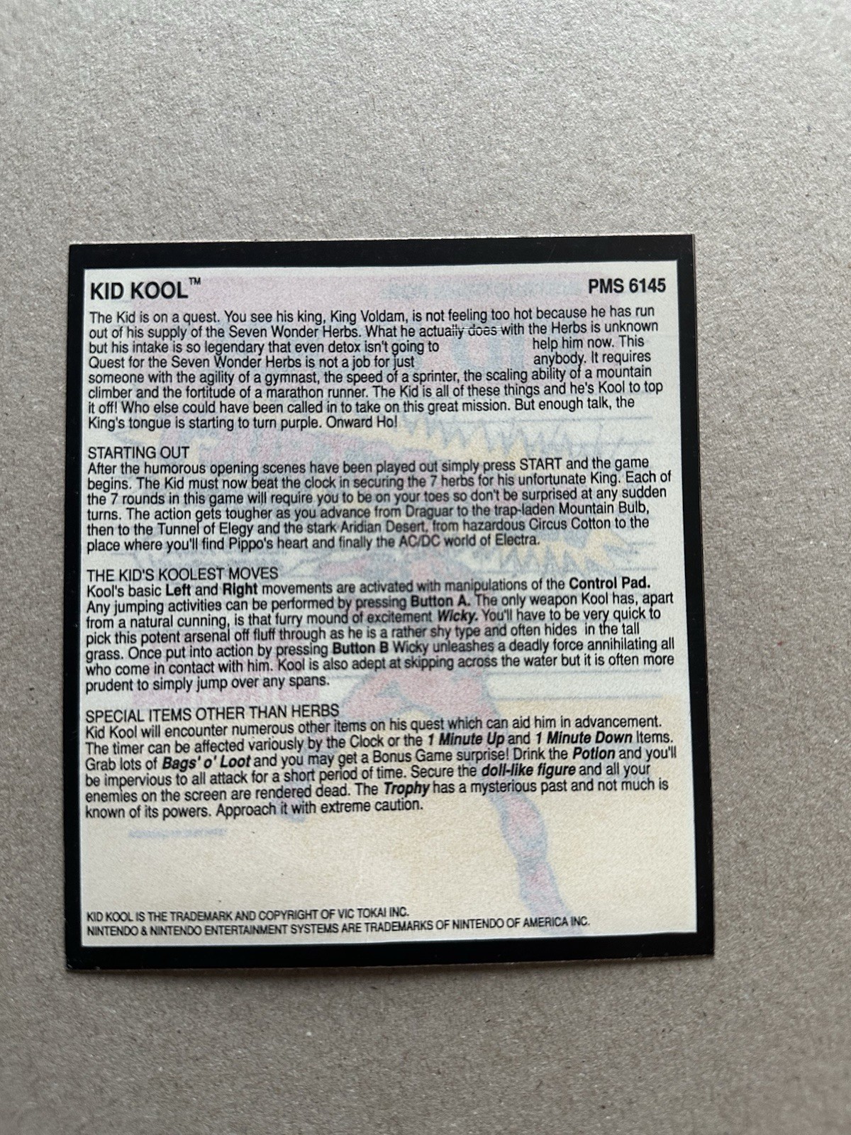 KID KOOL NES Permastruct Rental Store Instructions Sticker