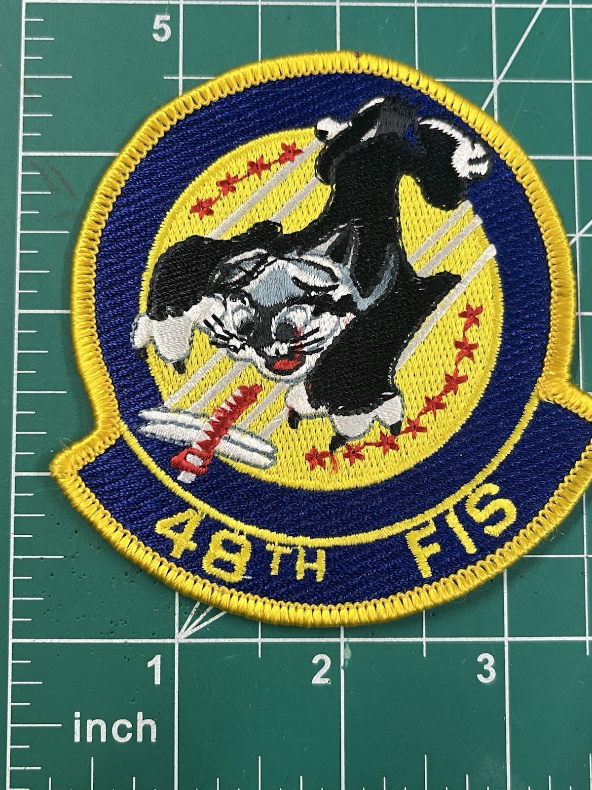 USAF US Air Force Squadron 48th FIS Fighter Interceptor Squadron Patch