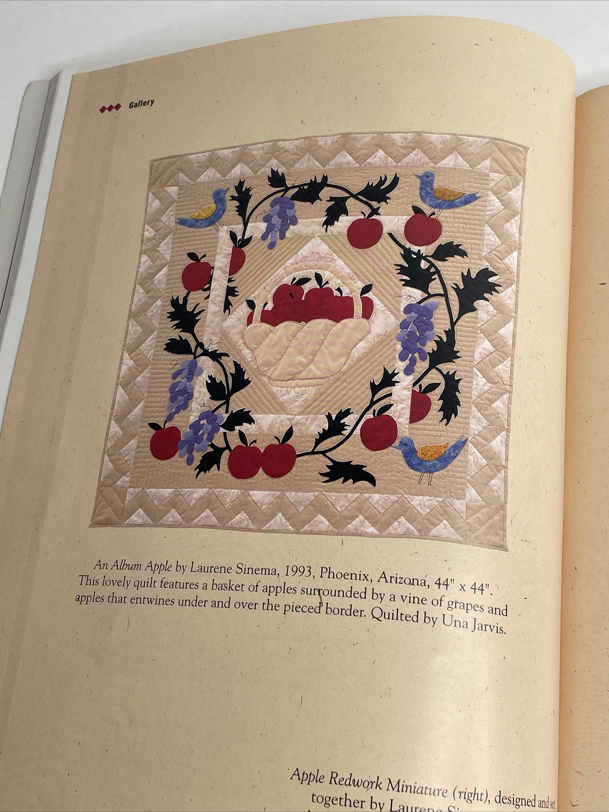 The Quilted Apple Paperback y Laurene Sinema Quilt Patterns