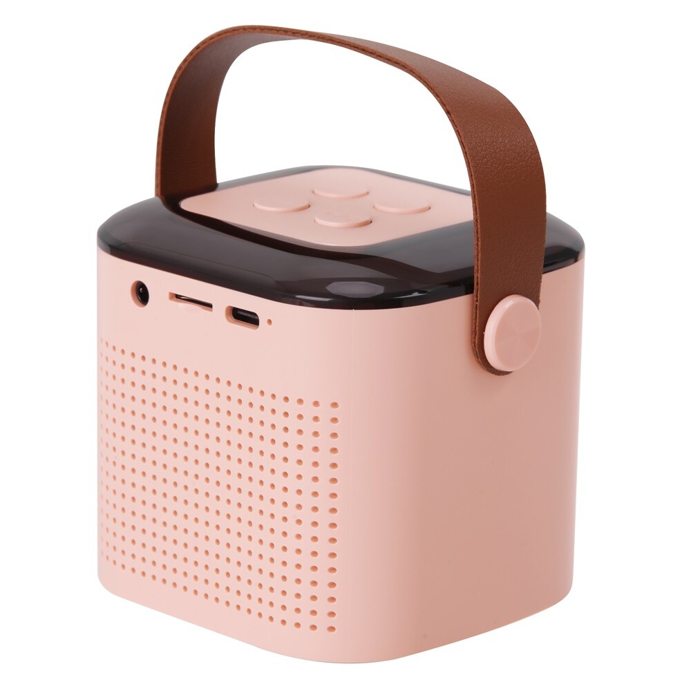 Kids Bluetooth Karaoke Portable Speaker Machine 2 Microphones