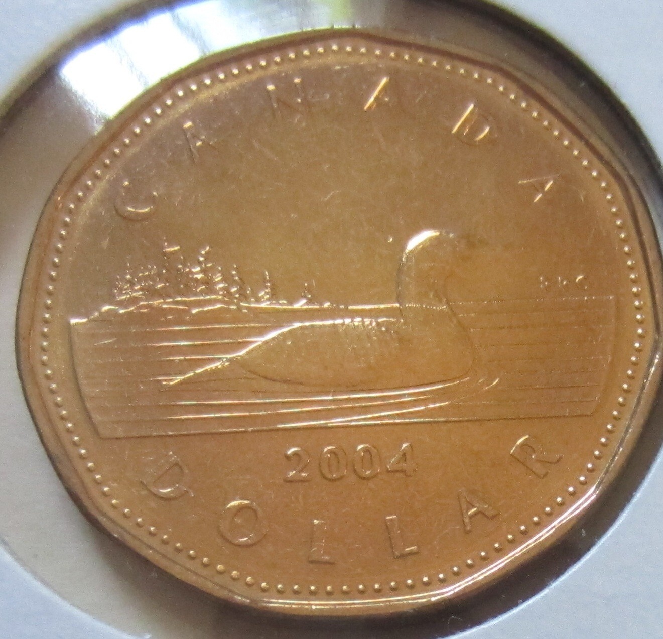 2004 Canada Classic Loonie Coin. UNC. One Dollar $1 Loon