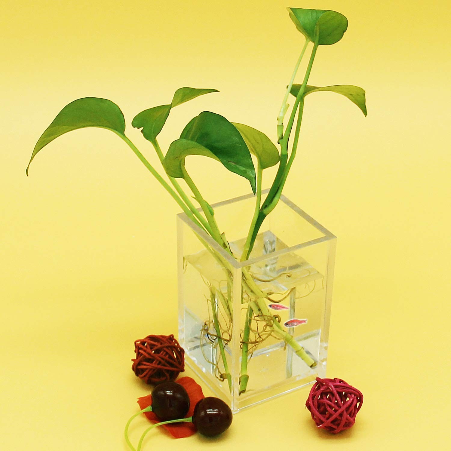 2 Pack Clear Acrylic Pencil Pen Holder Cup,Desk Accessories Holder,Makeup Bru...