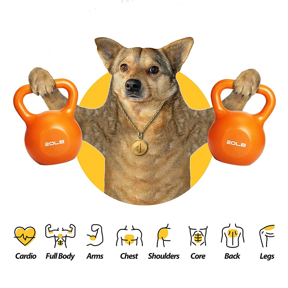 Kettlebell Sets, Strength Training Kettlebells Weight Set for Women