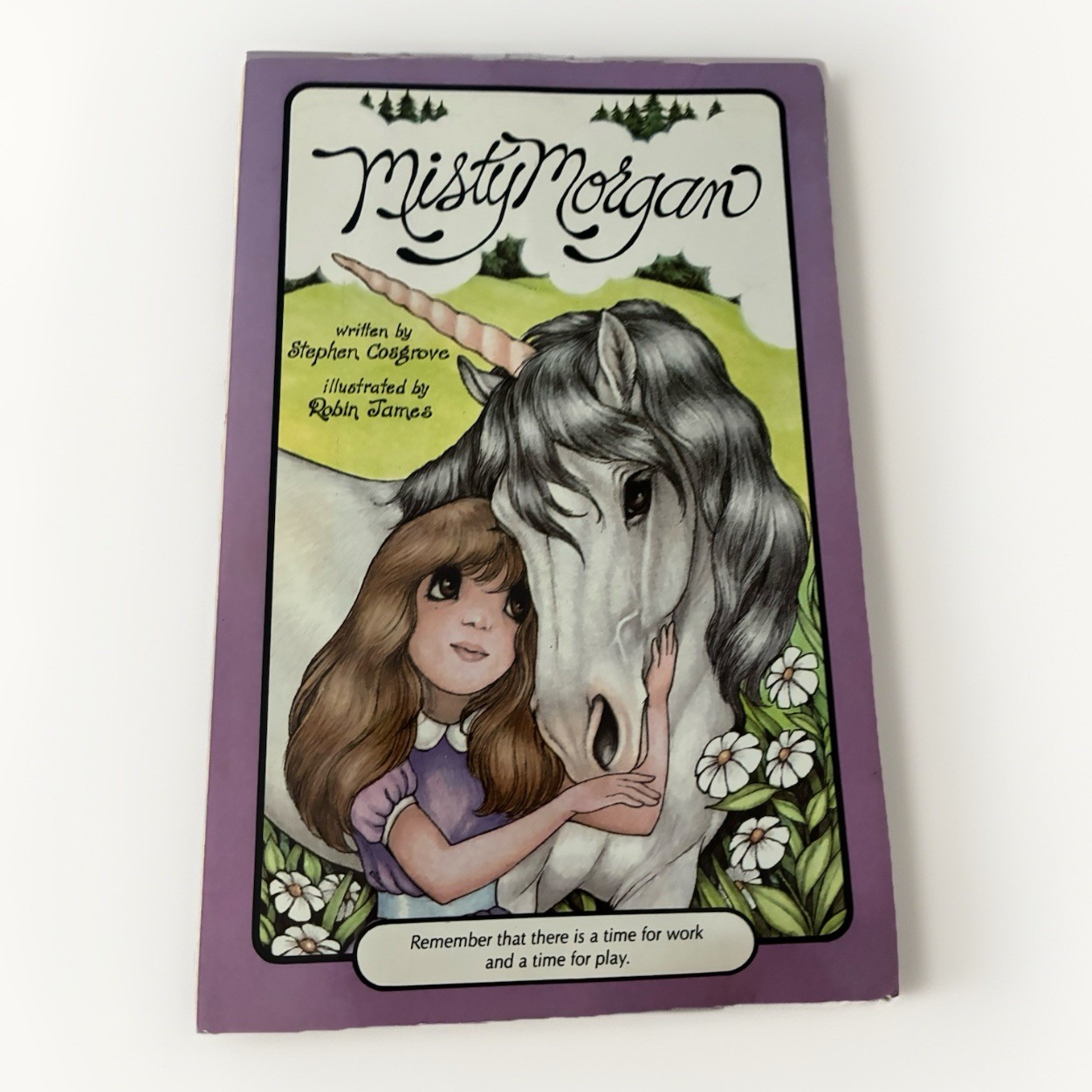 Vintage 1987 Misty Morgan by Stephen Cosgrove and Robin James Unicorn Flawed