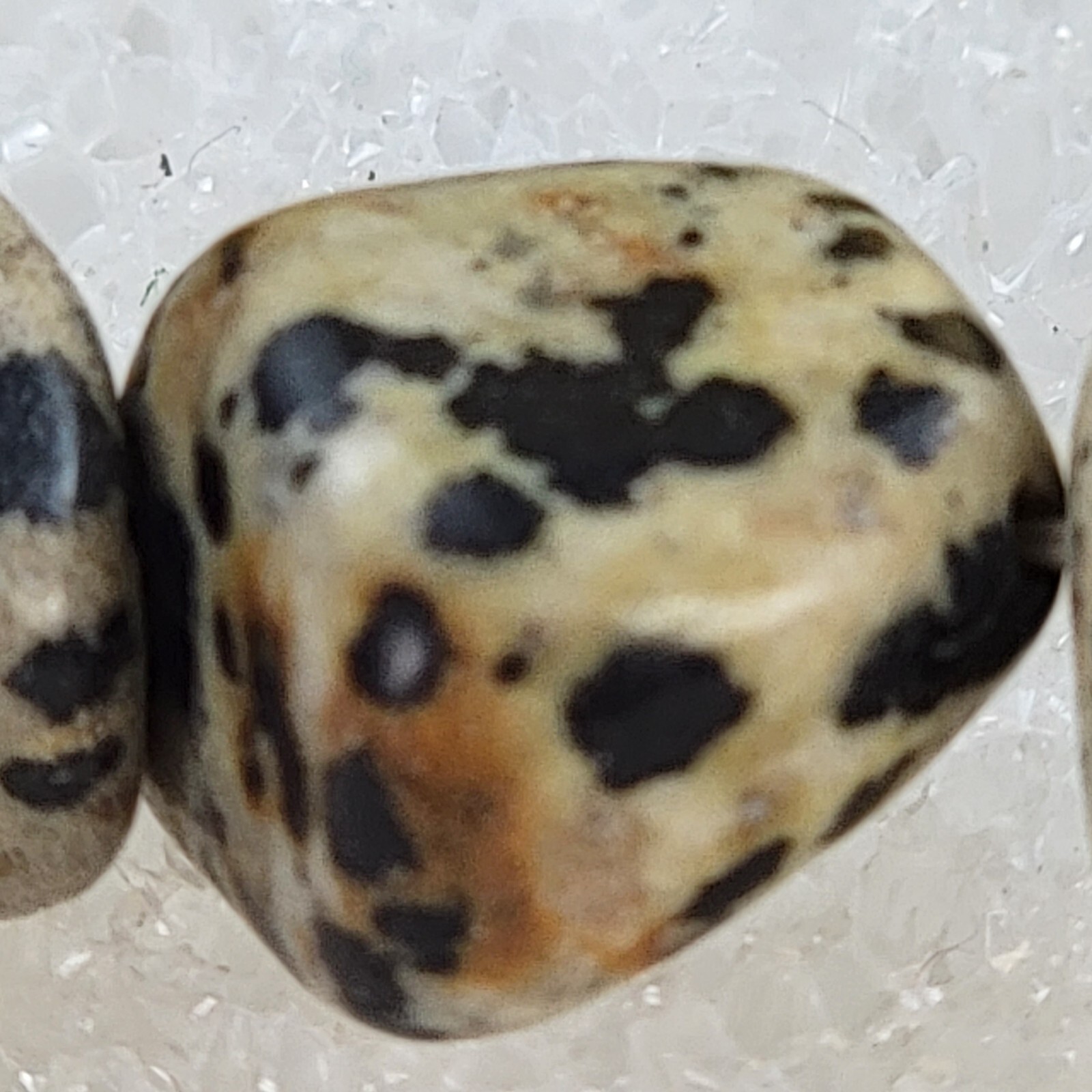 Dalmatian Jasper Beaded Stretch Bracelet 6.5" Sizable