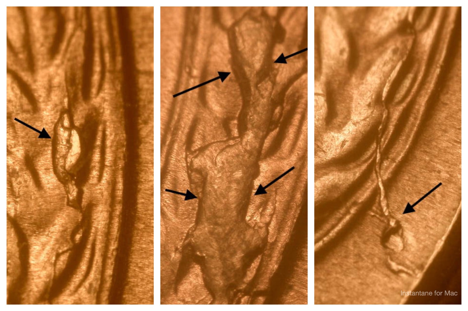 3 Different 1955-S Ch/Gem BU Red Uncirculated Lincoln Cent Die Break Errors#16
