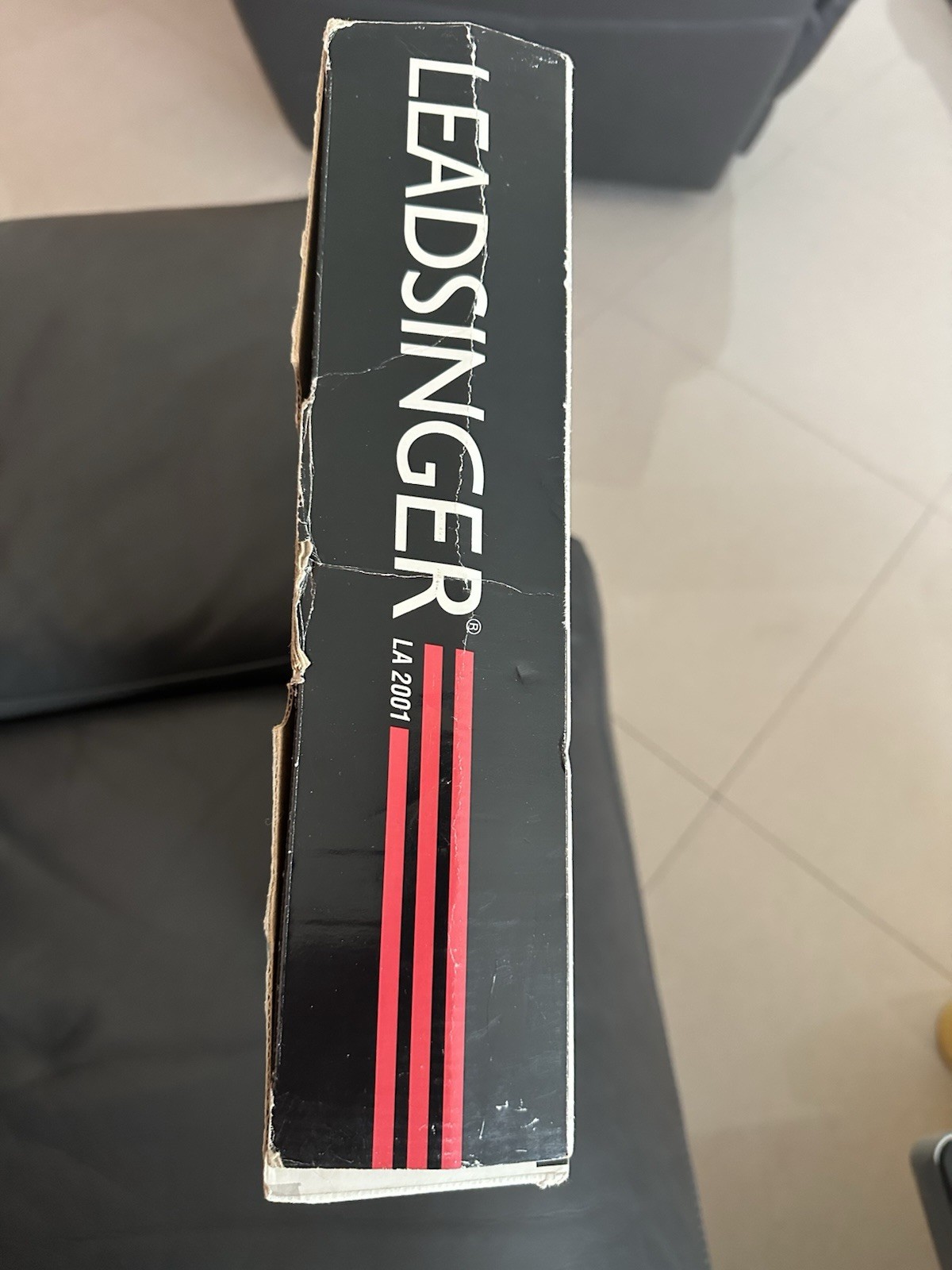 Leadsinger Karaoke Microphone