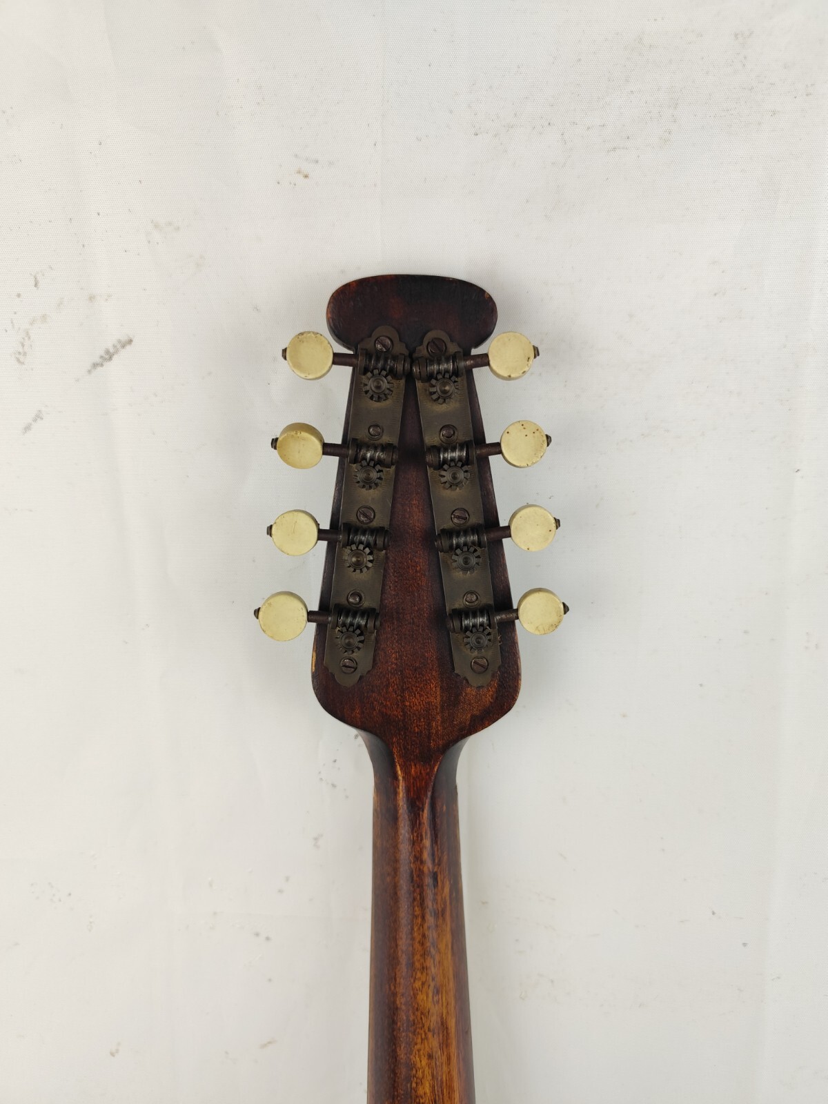Mandolin 4/4 Luigi Mozzani 1921 Milan 曼陀林 만돌린マンドリン