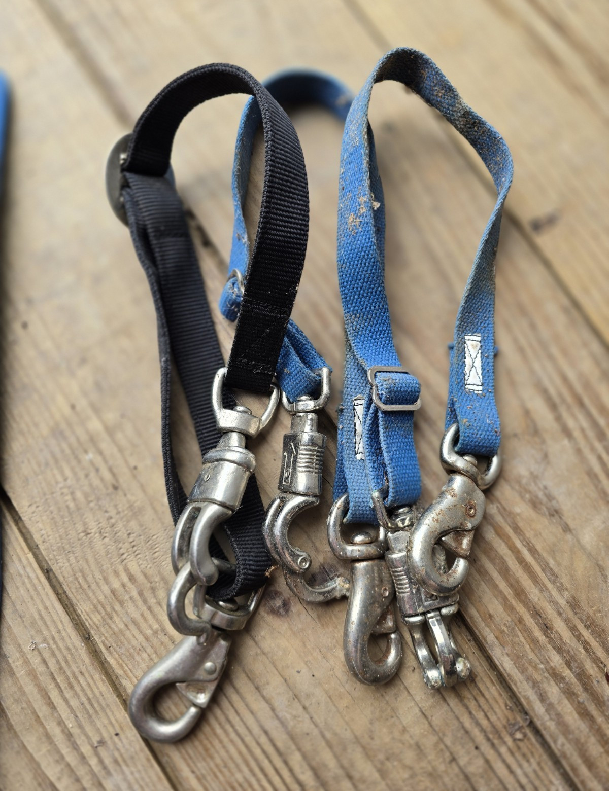 Lot of 3 Nylon Horse Trailer Ties