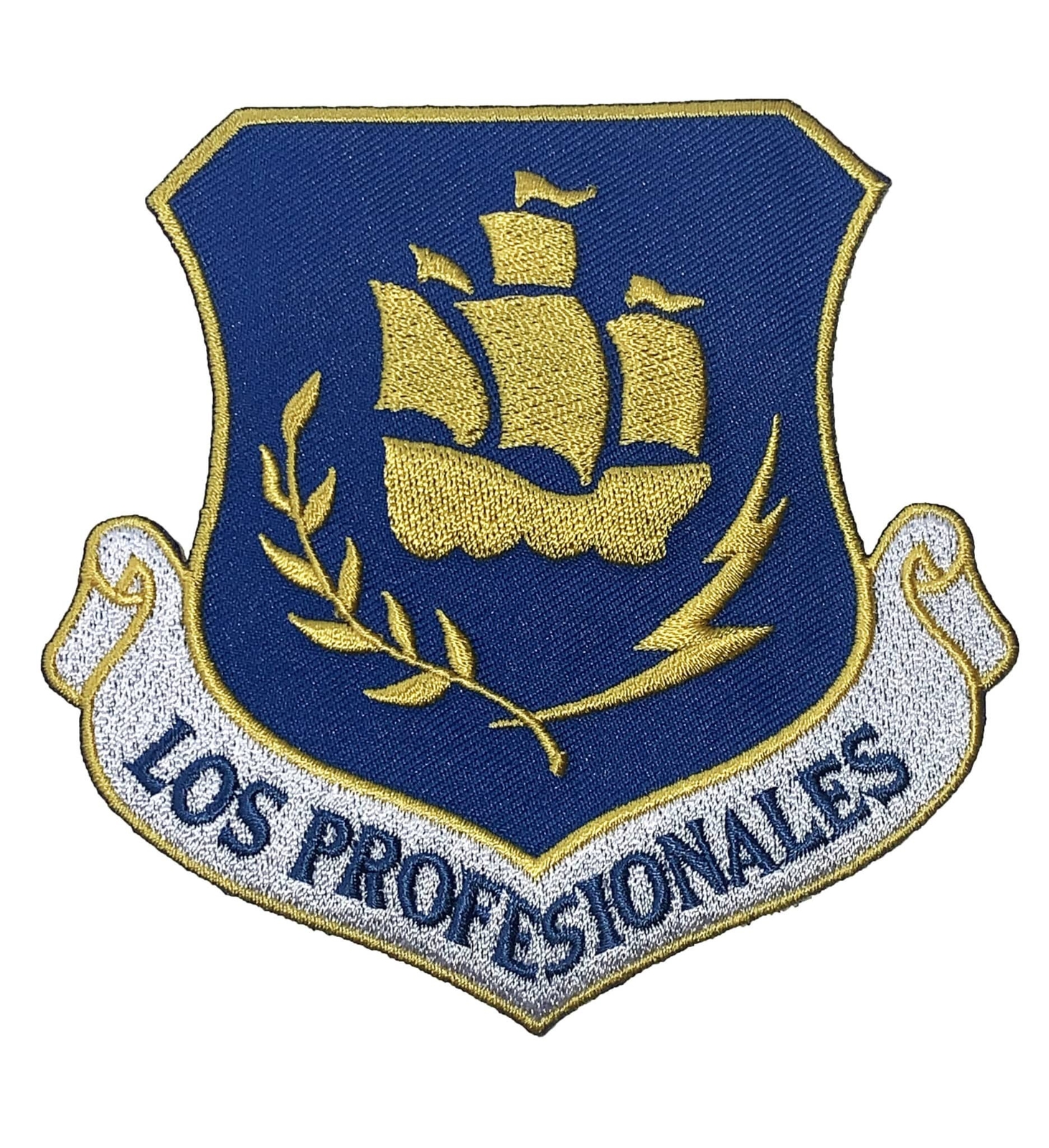 LOS PROFESIONALES 24th Special Operations Wing Patch – Plastic Backing