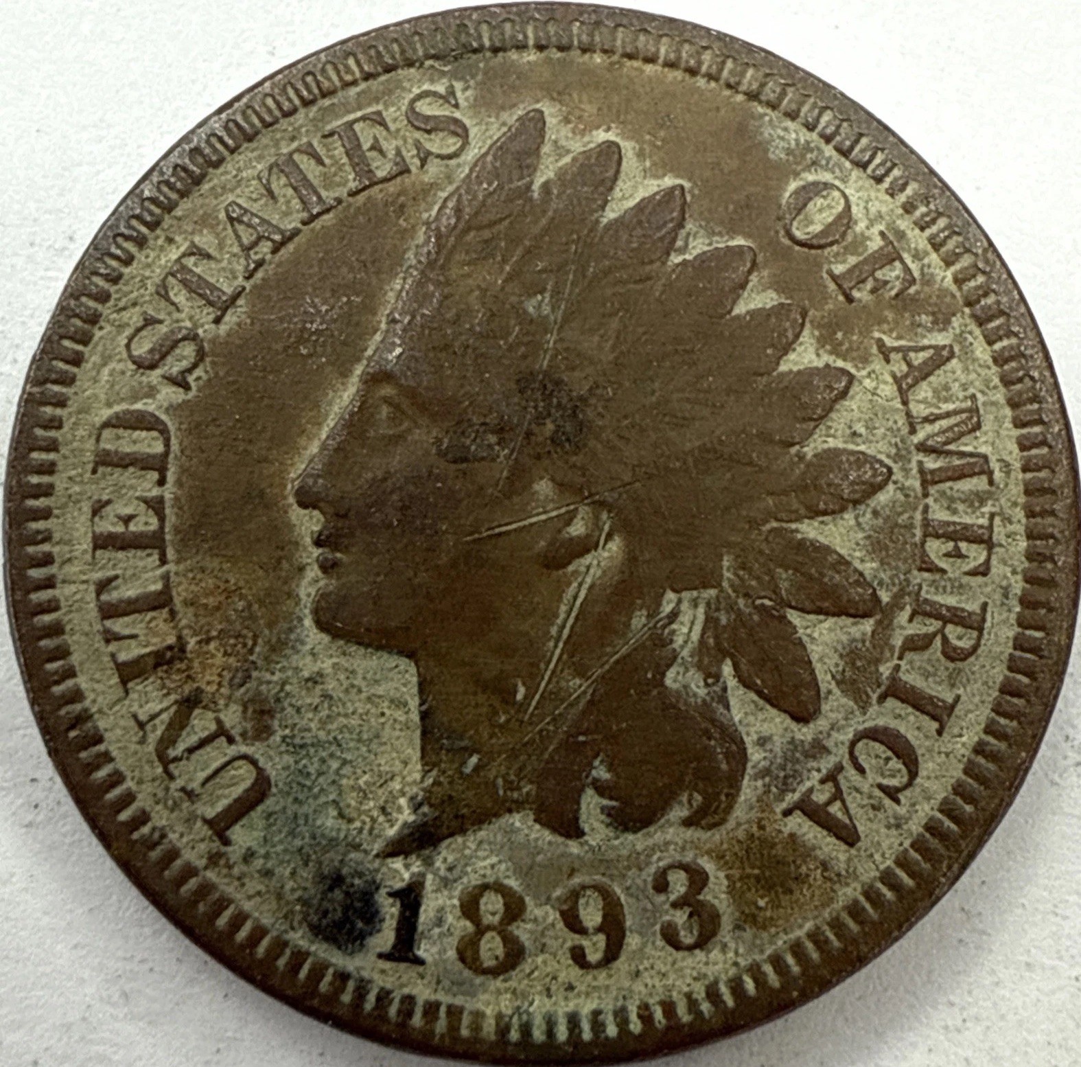 1893 Indian Head Cent Exact Coin Imaged #IND2197