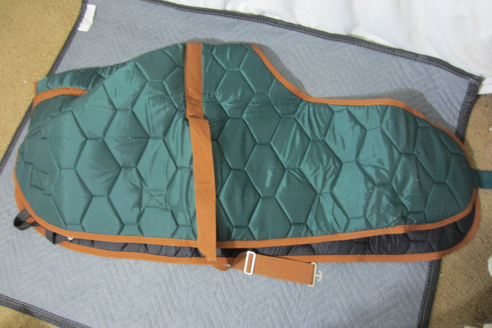 Adjustable Foal Mini Horse Winter Blanket Green Medium