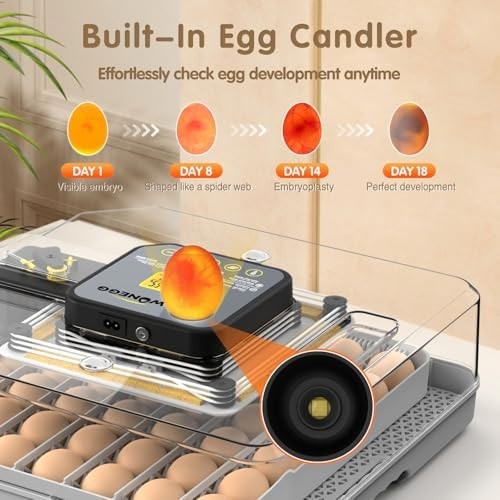 48 Egg Automatic Incubator for Chicken Duck Goose Quail Hatching