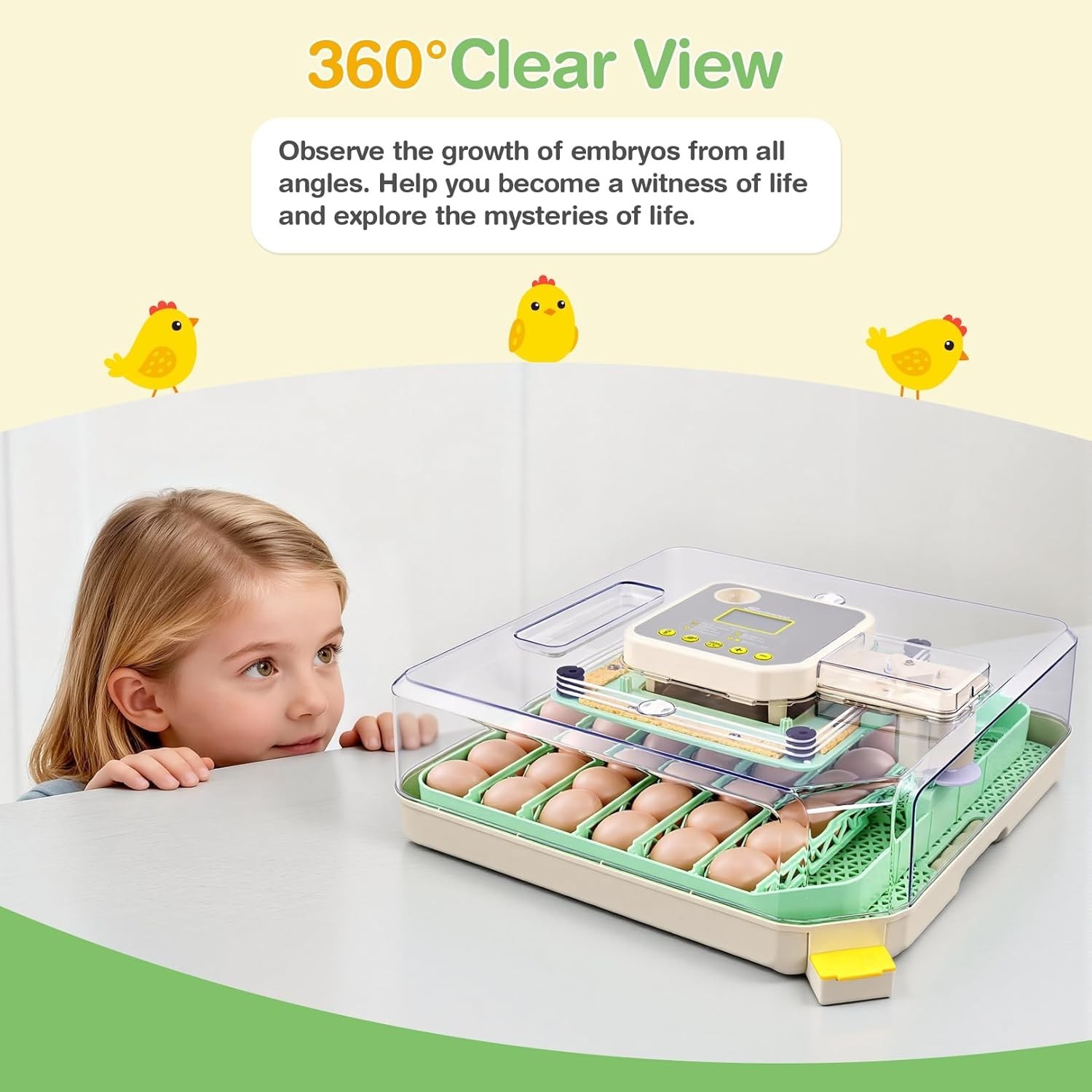 48 Egg Incubator for Hatching Eggs with Auto Egg Turning 360° View, Egg Candler
