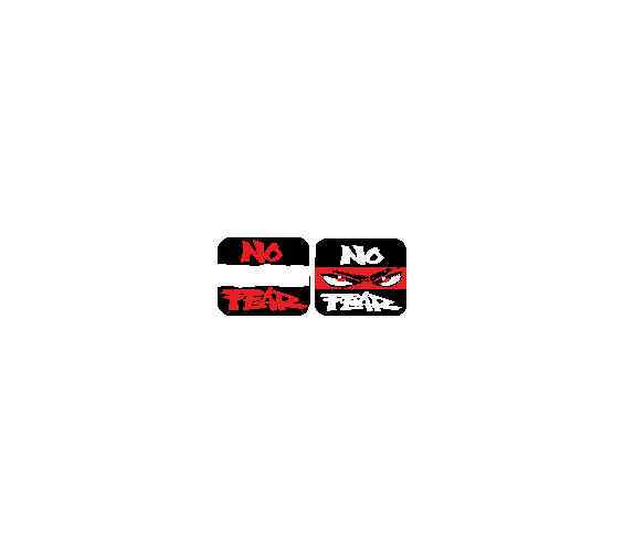 Williams NO FEAR Pinball Machine Spinner Decal Set