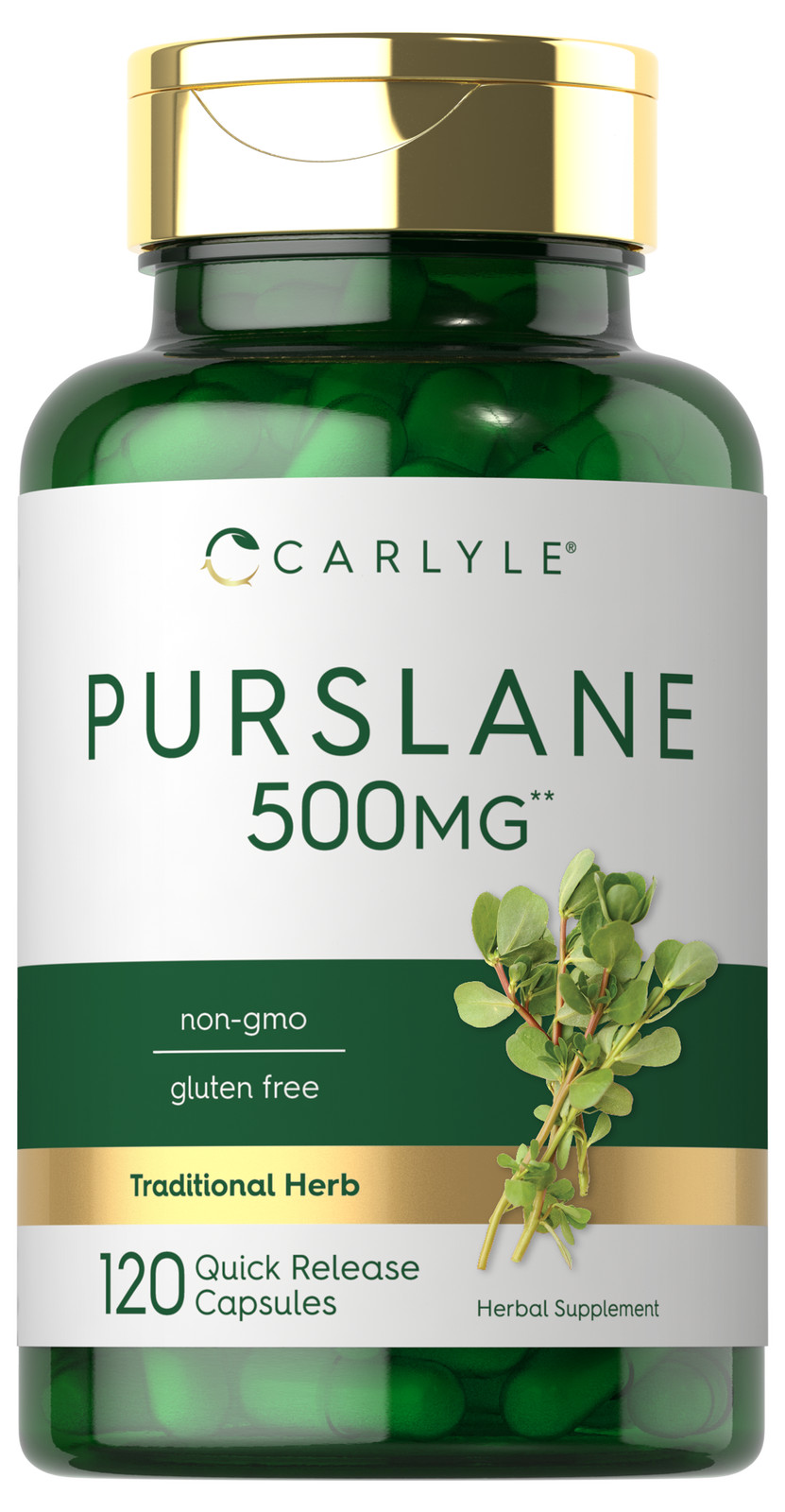 Purslane Supplement 500mg | 120 Capsules |  Non GMO, Gluten Free | by Carlyle