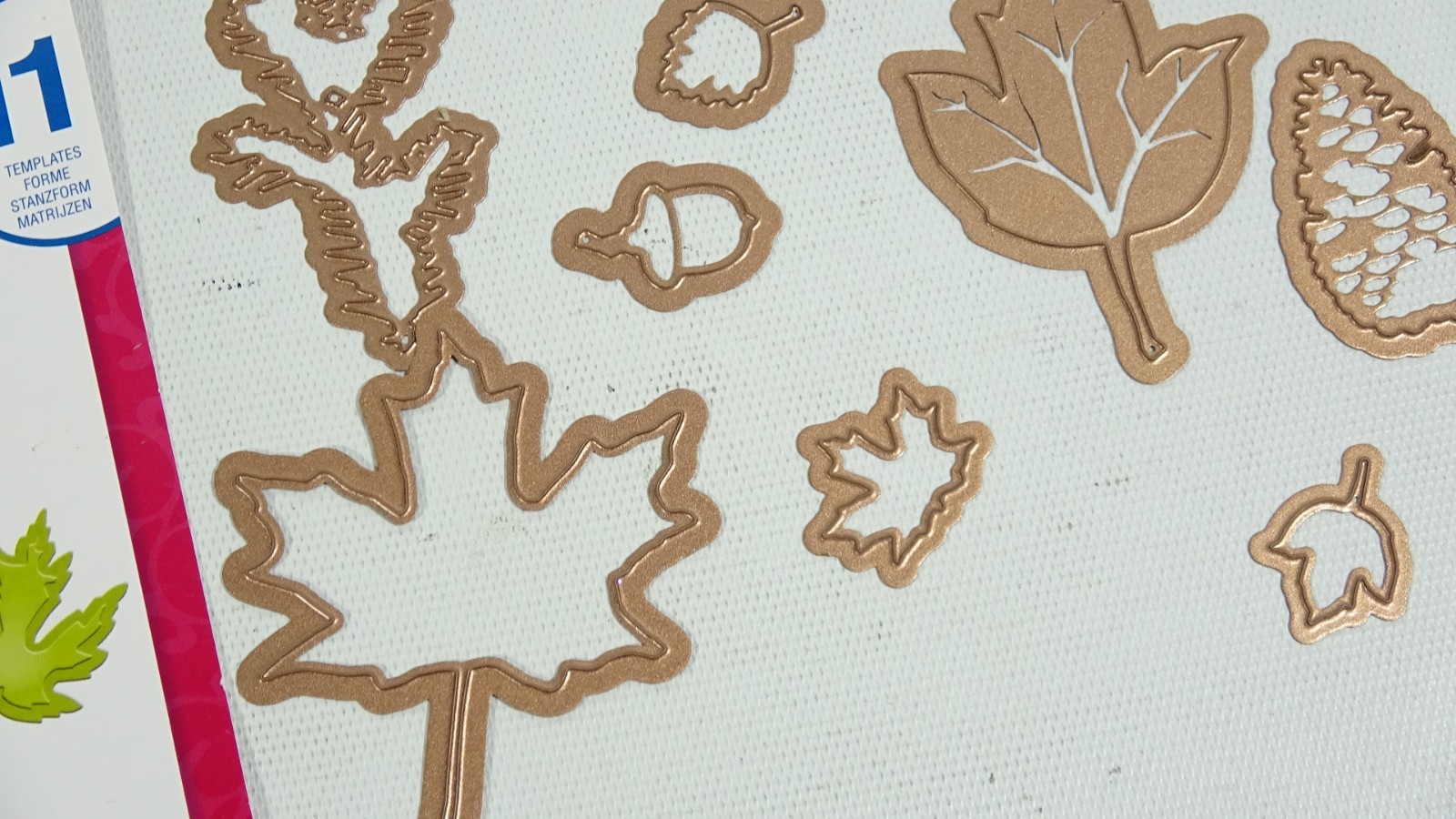 Spellbinders Shapeabilities Fall Foliage Craft Dies S5120