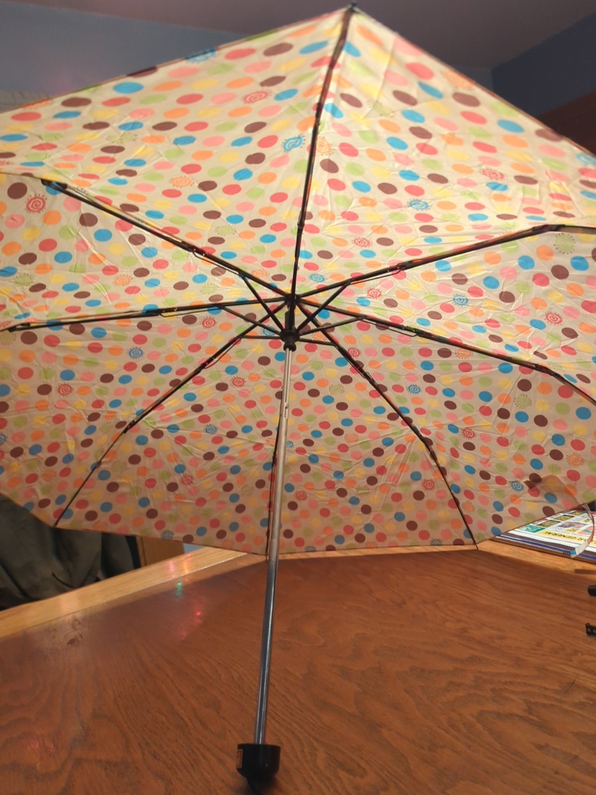 Vintage Multi Colored Polka Dots Rosetti Umbrella Compact