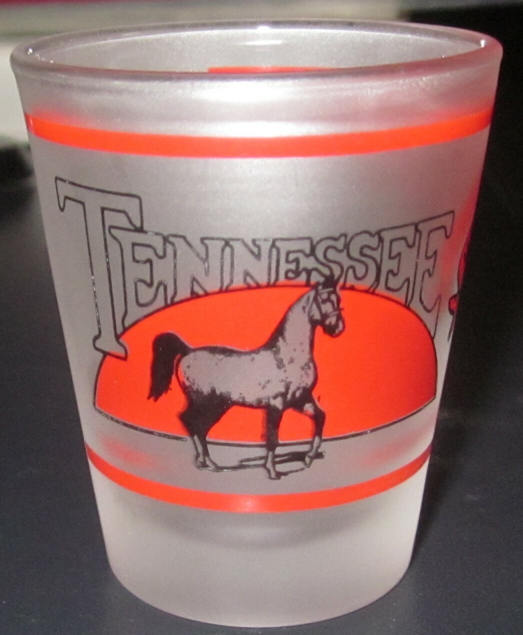 TENNESSEE/FASTER HORSES/YOUNGER WOMEN/MORE MONEY FROSTED SHOT GLASS FREE SHIP