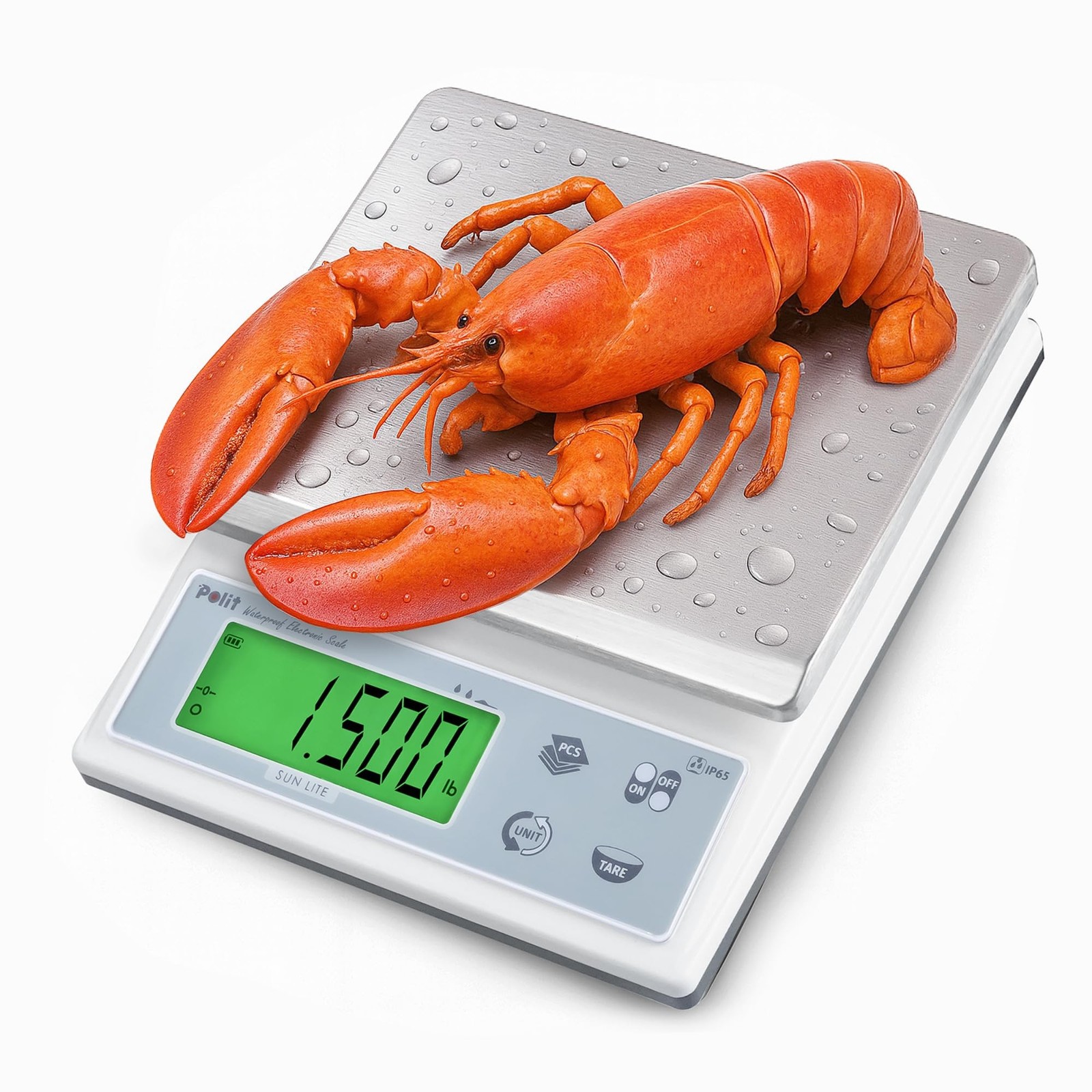 Polit Sun Lite Waterproof Baking Scale, 0.1g Auto Precision, 6.6lb/3kg | Deta...