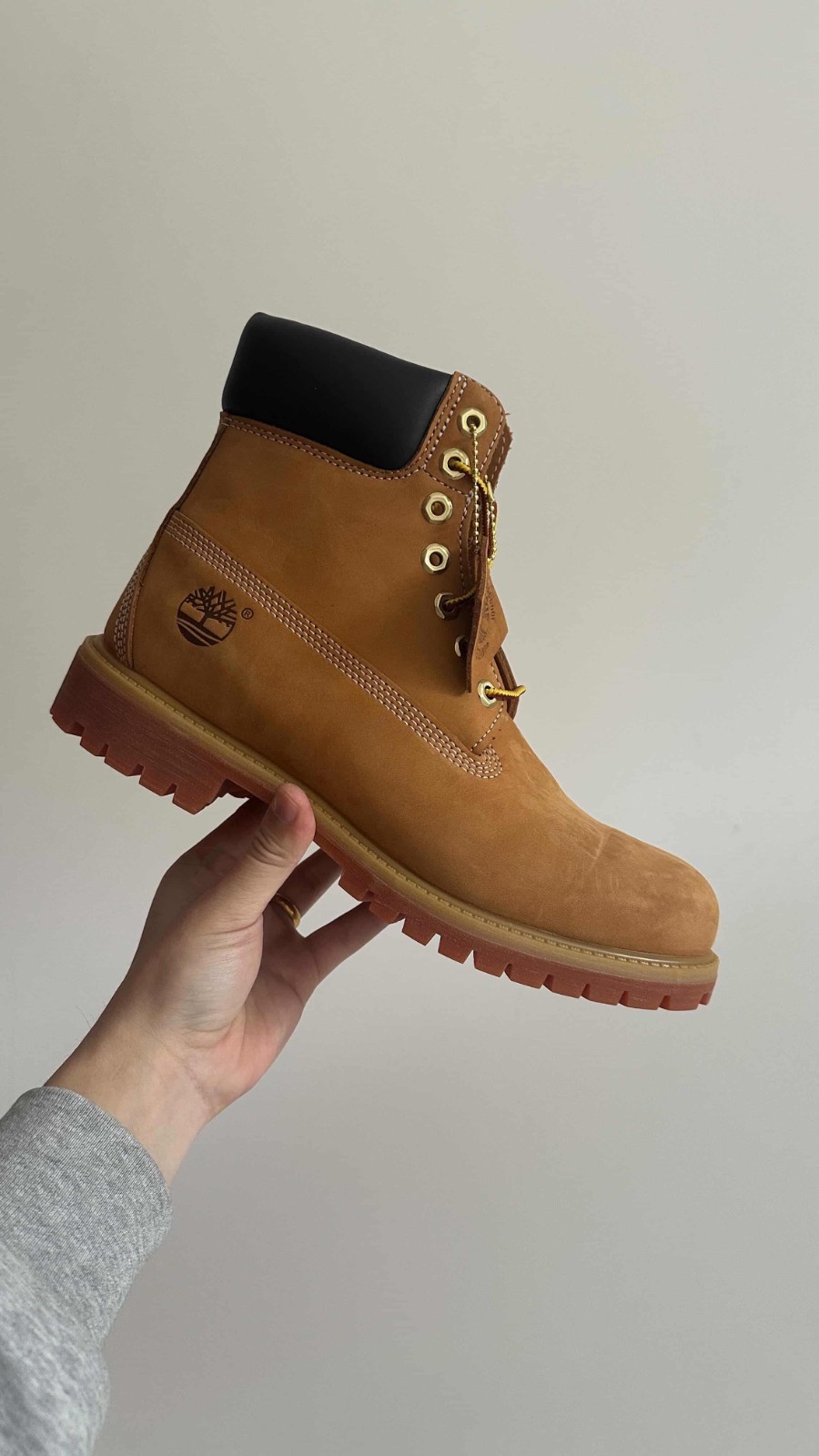 BRAND NEW | Timberland 6-Inch Boot | Wheat Nubuck Premium | TB010061-713 Sz 6-11
