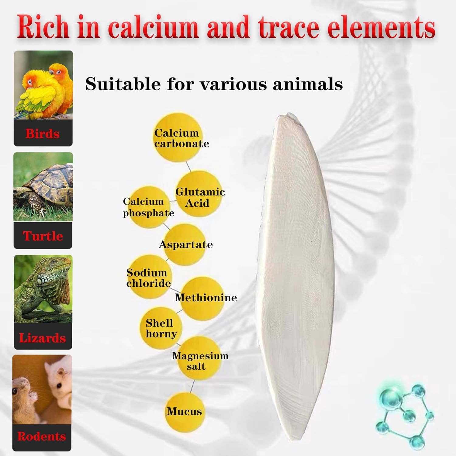 Bird Cuttlebone for Parakeets Cuttlebone for Birds - Natural Cuttlefish Bone Bul