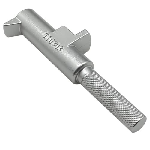 T10303 DSG Clutch Retaining Bar Compatible with VW Audi VAG DSG 02E 6 Speed