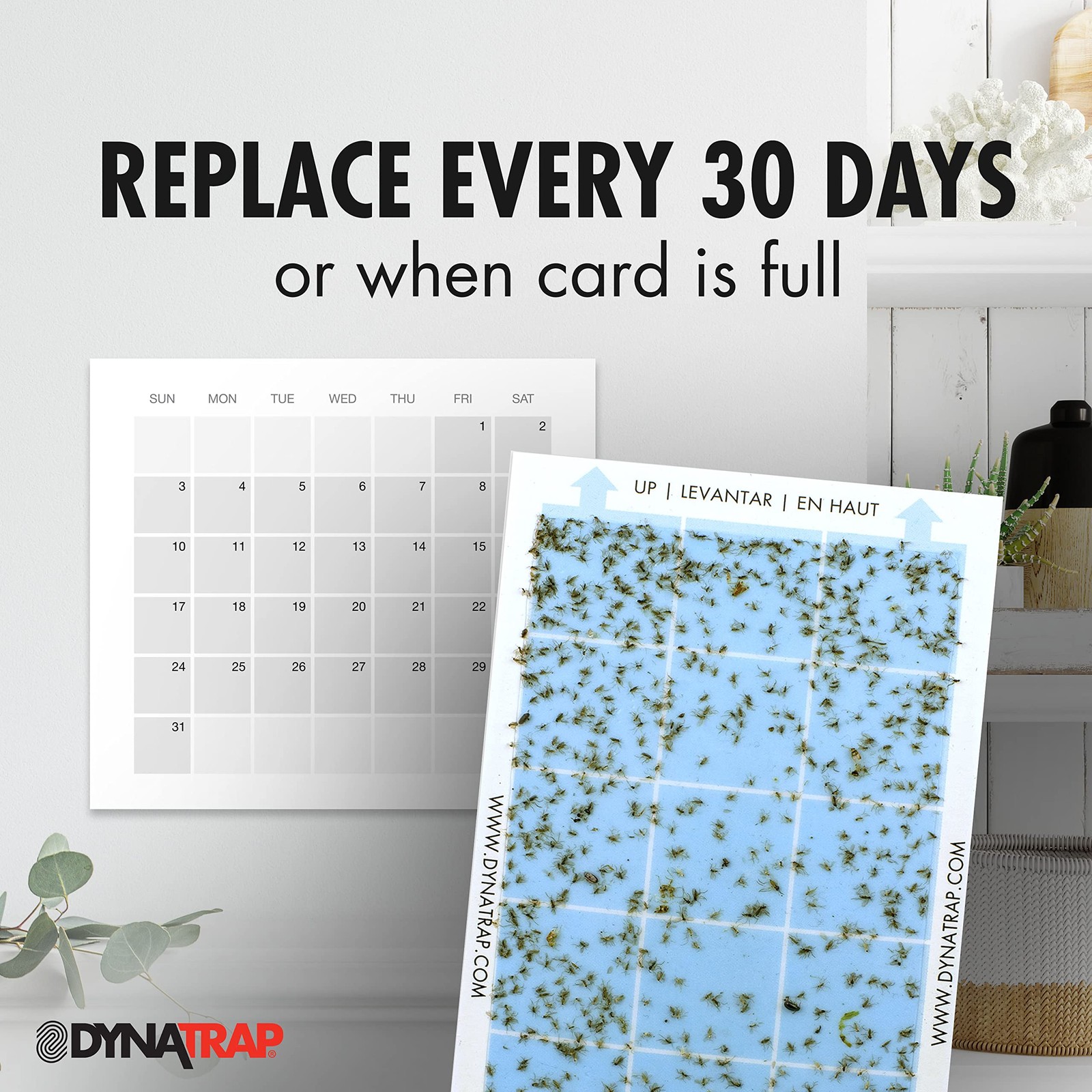 DynaTrap 230093 Replacement StickyTech Glue Cards for 6 Count, 6 Count