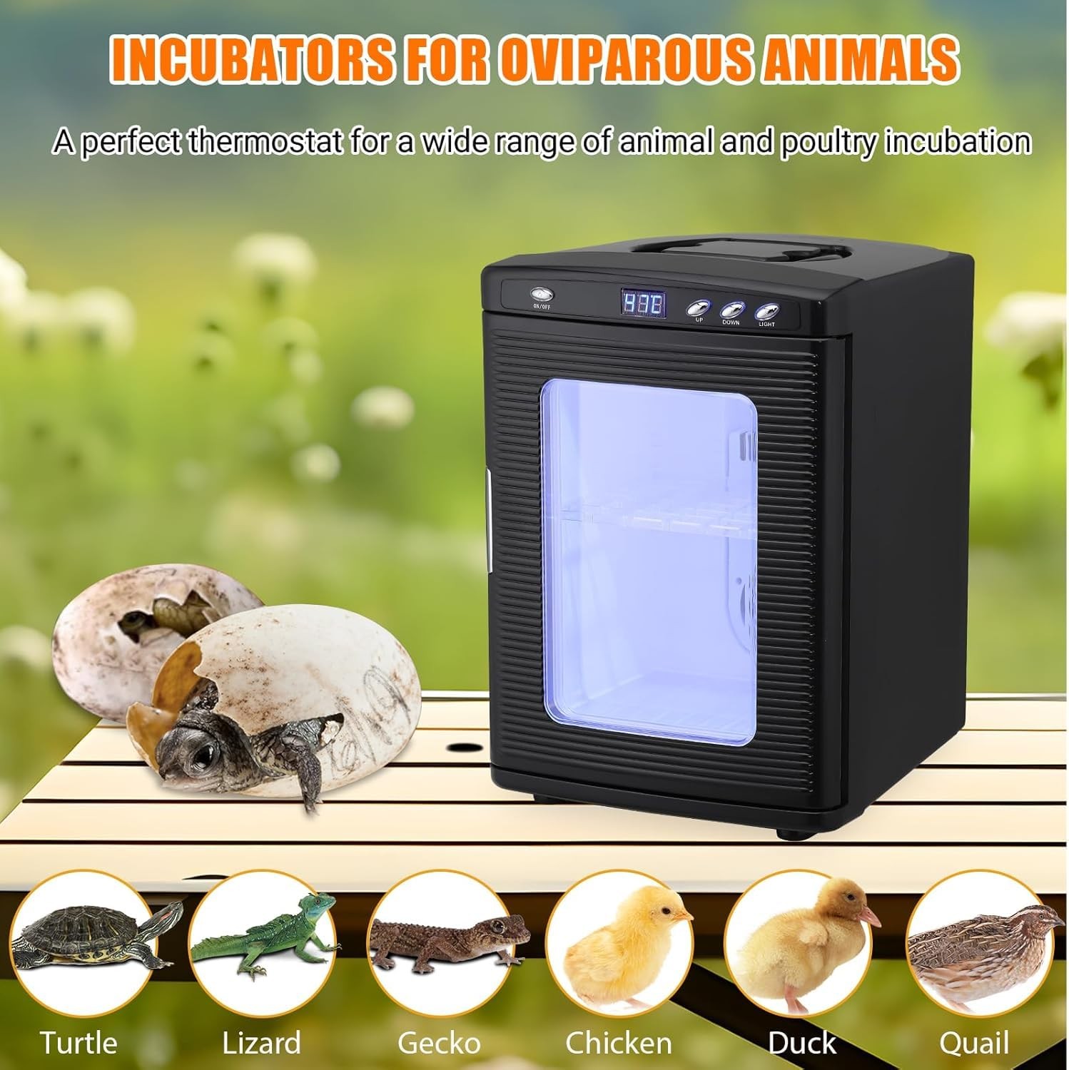 Fits Reptiles Large Capacity 25L Digital Egg Incubator with Temperature Control
