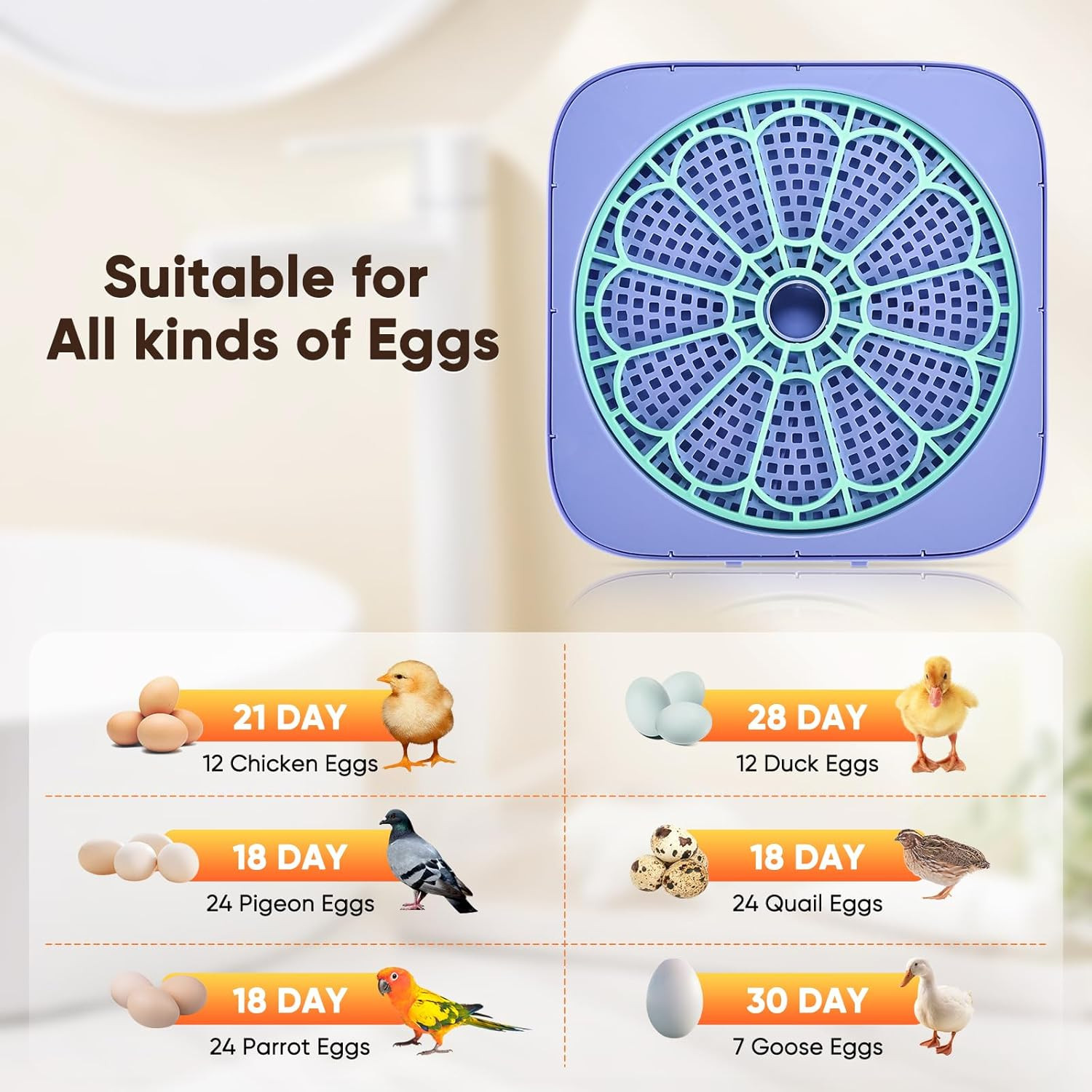 Digital Egg Incubator 12-24 Eggs with Auto Turner & Smart Control System