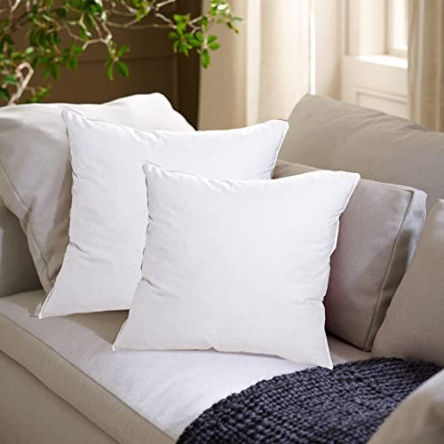 14"x24" Pillow Inserts Soft Feather Pillow Set of 2 14×24inches（Pack of 2）